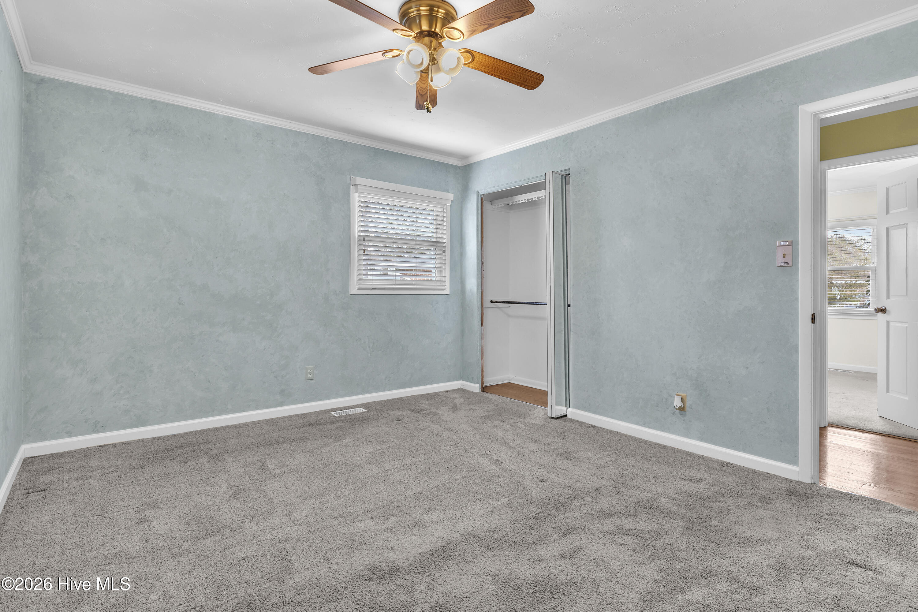 100555841 | Photo 37