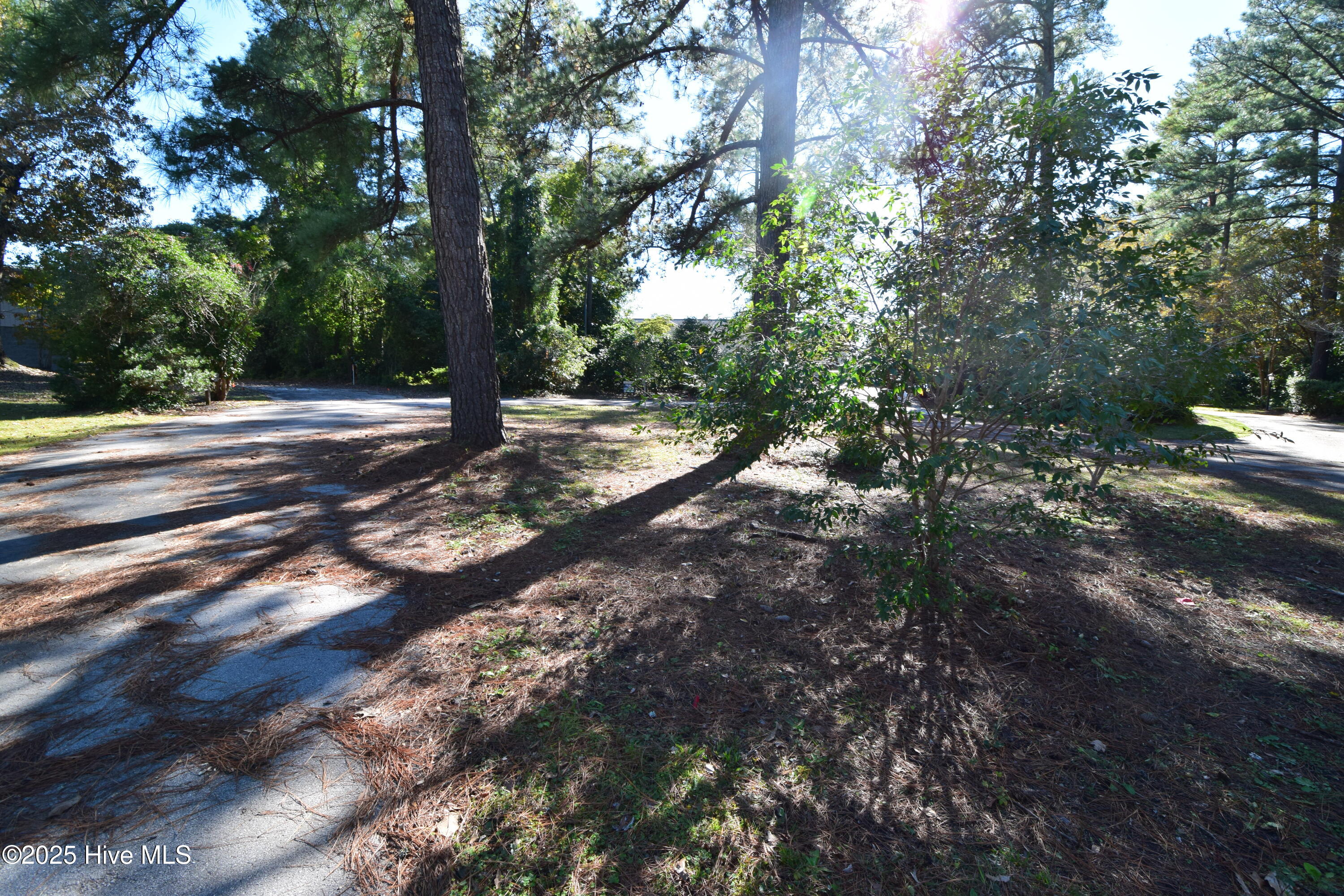 246 Shoreline Drive, New Bern, NC, 28562