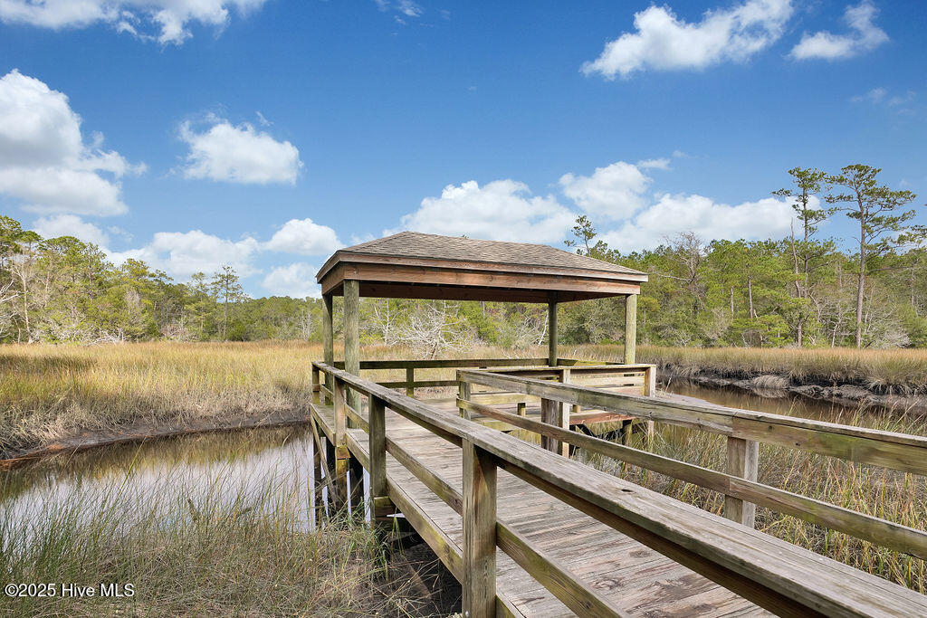 100534867 | Photo 38