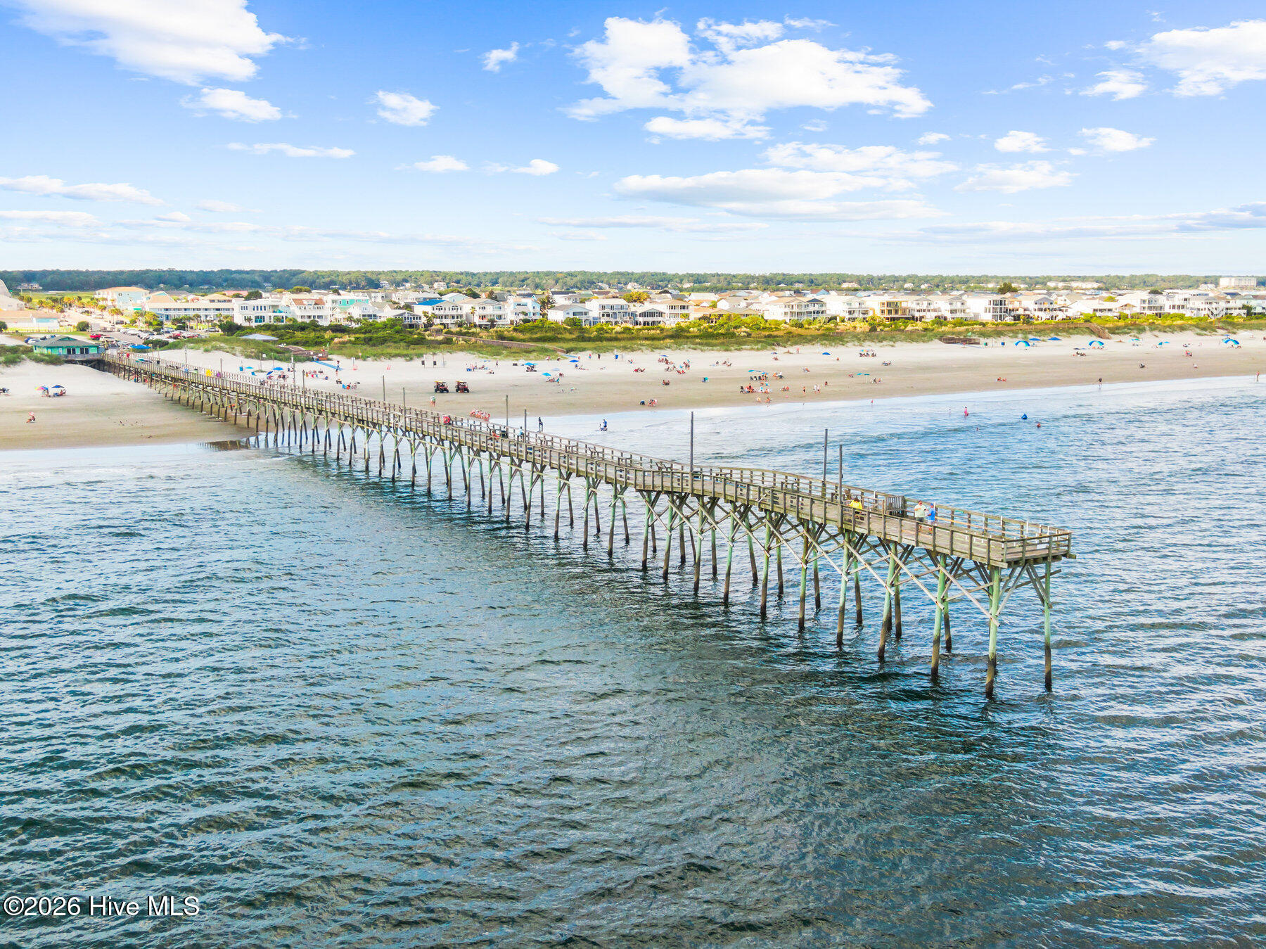 100537553 | Photo 14