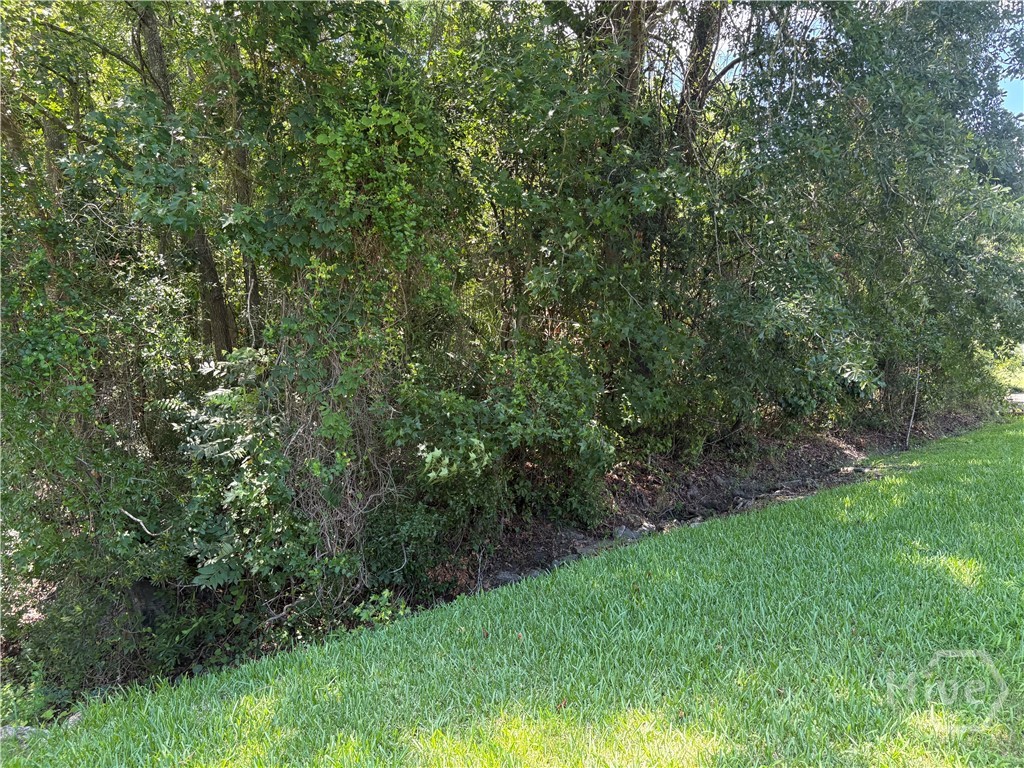 Bach Side wooded