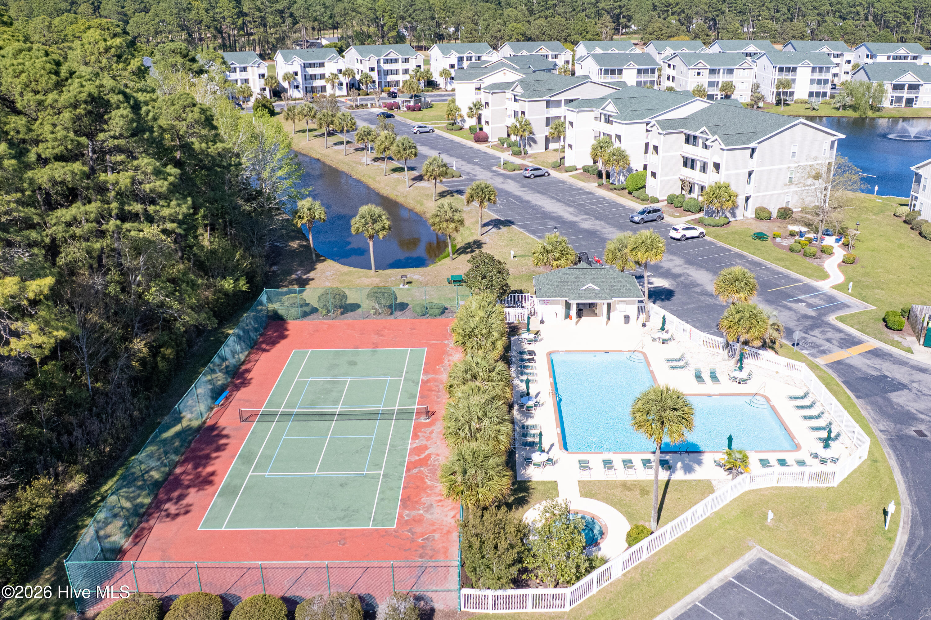 100564736 | Photo 41