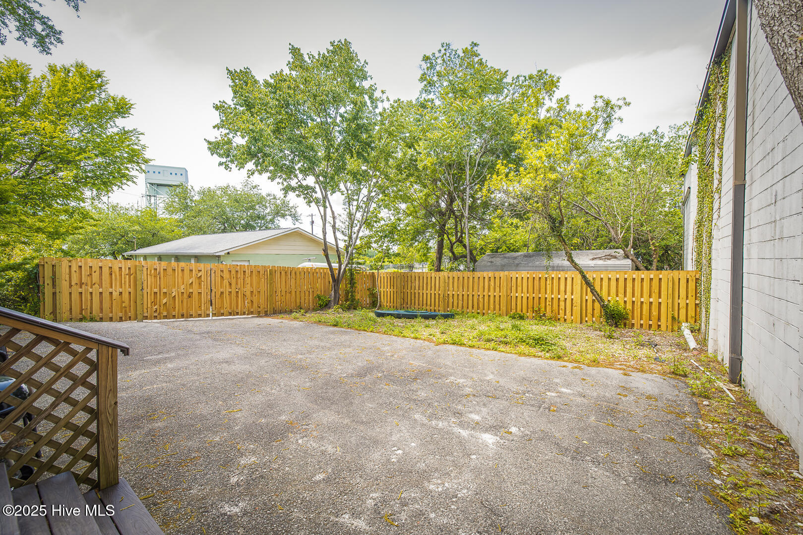 100541868 | Photo 45