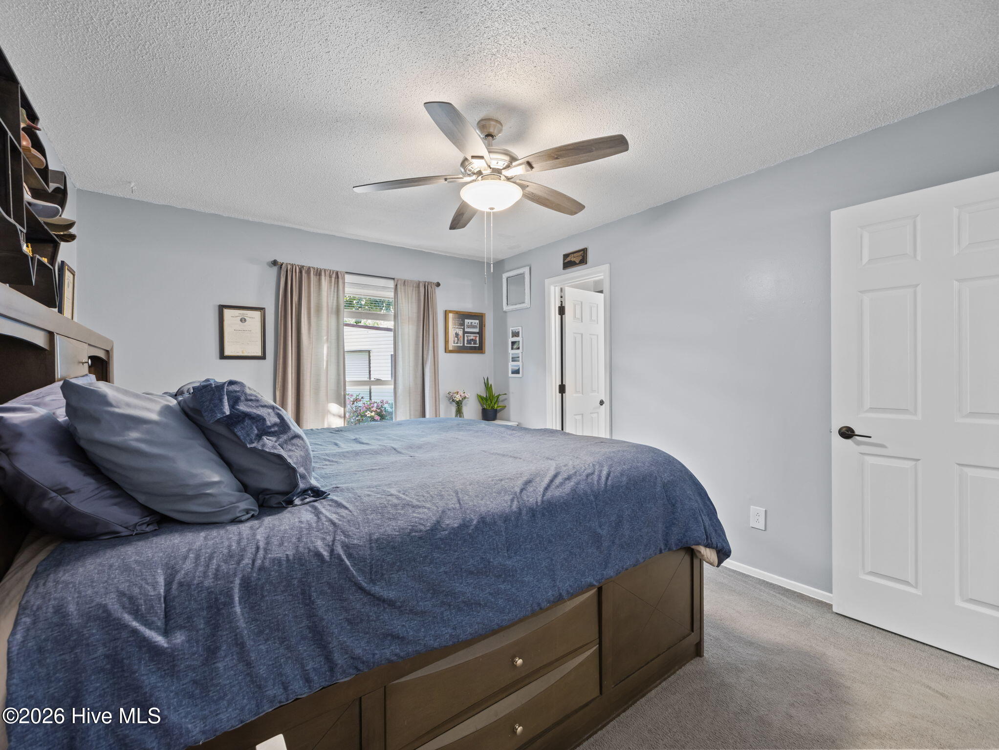 100567245 | Photo 25