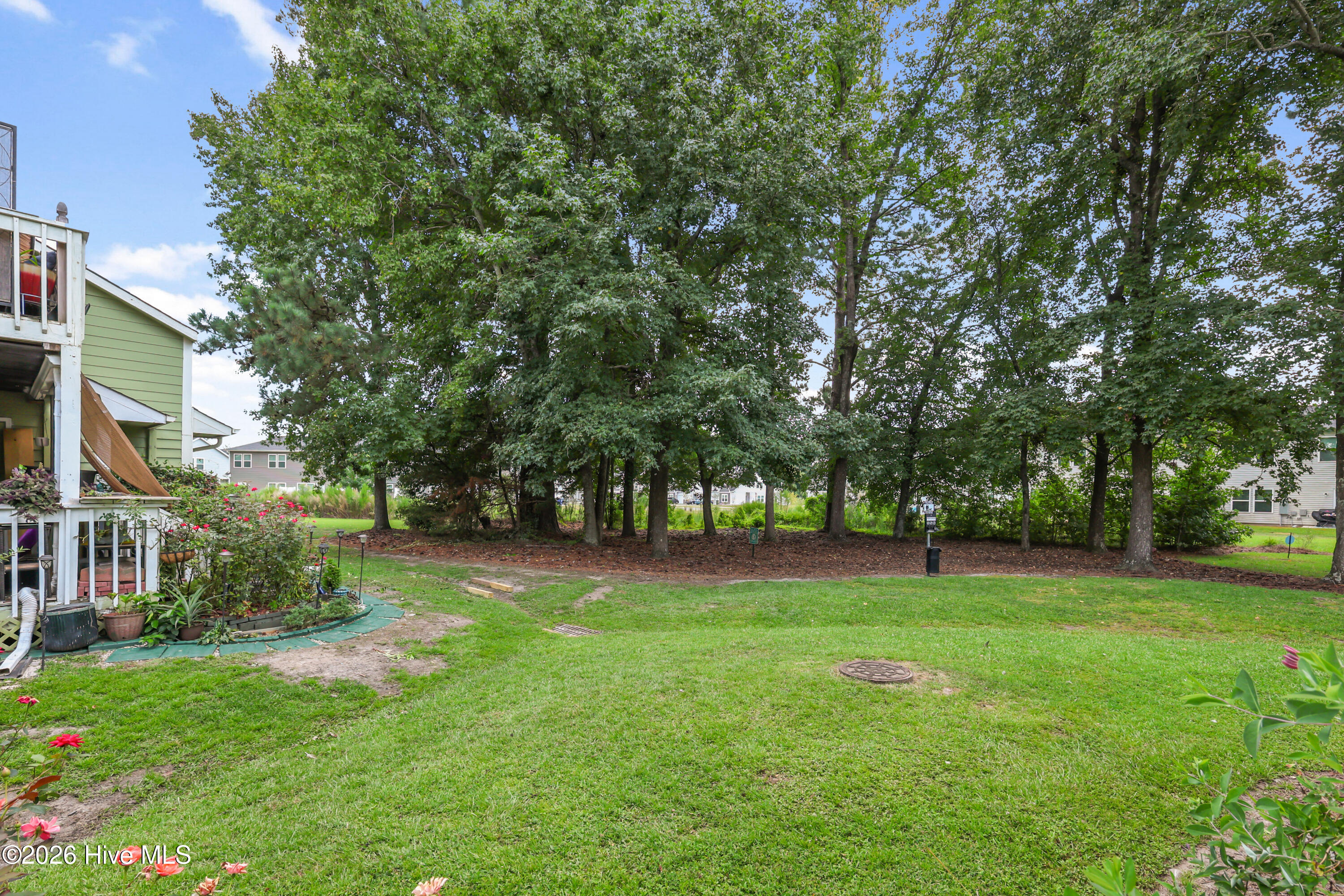 100563182 | Photo 24