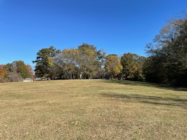 3220 Fish Dam Road, Thomson, GA 30824 Listing Photo  63
