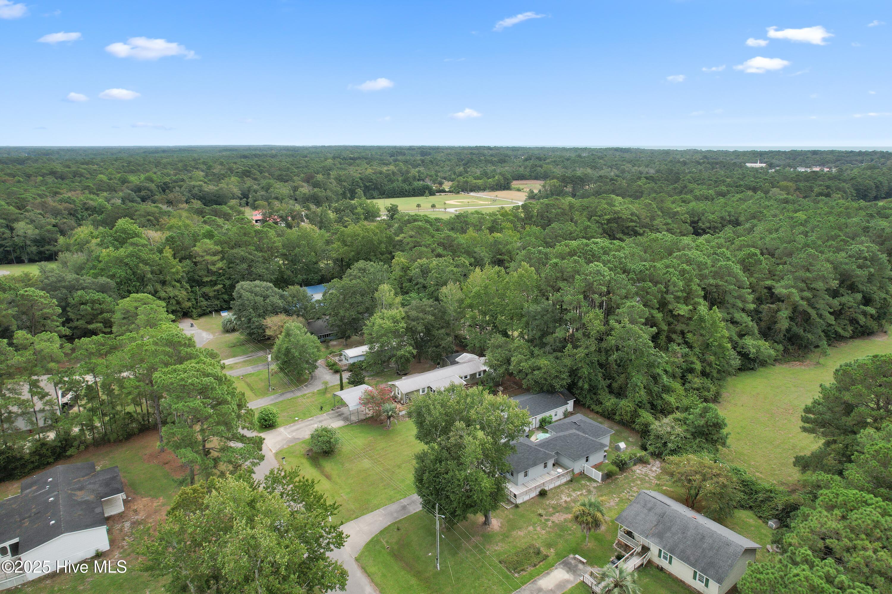 100530130 | Photo 53