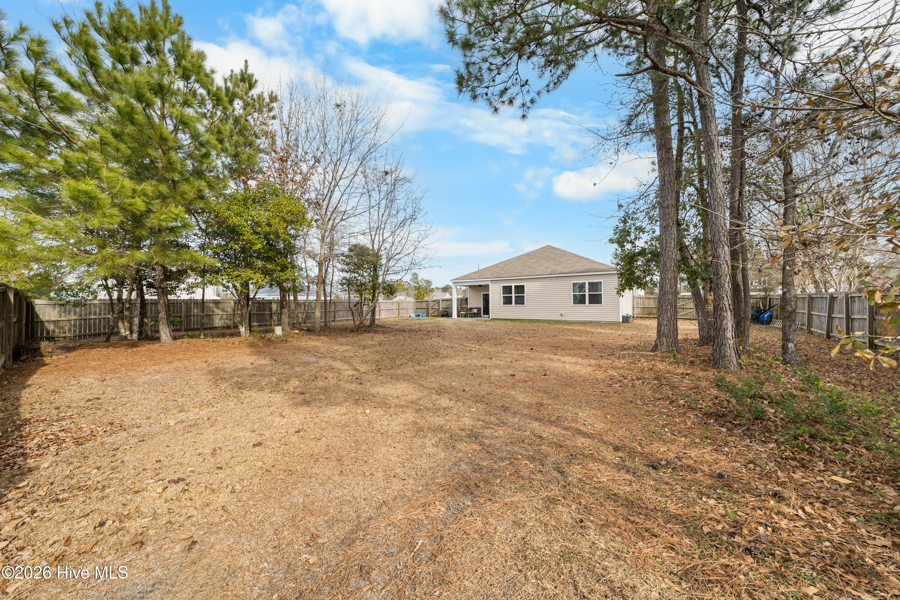 100552885 | Photo 30