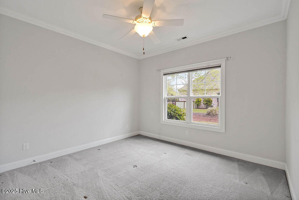 100550023 | Photo 19