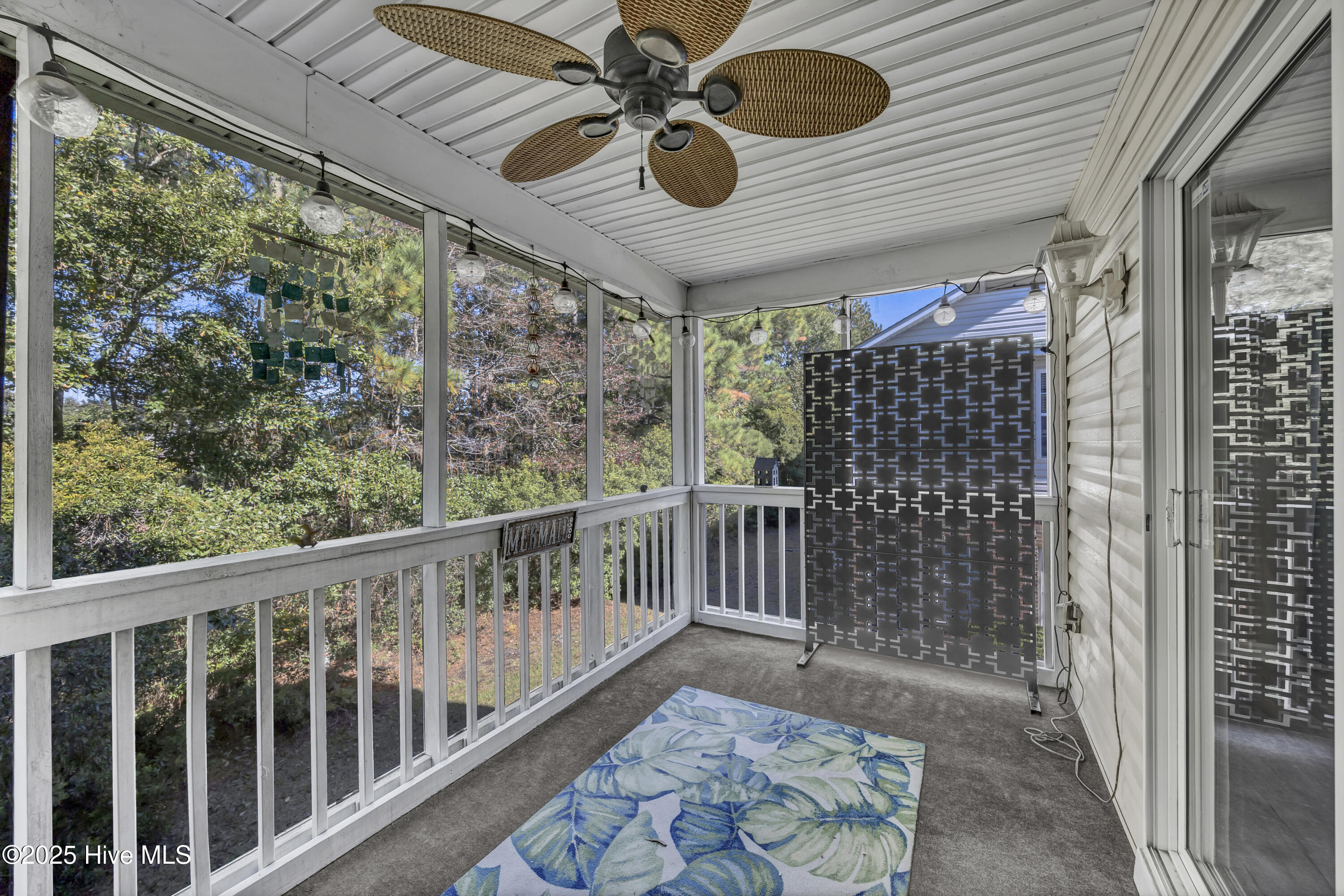 100539920 | Photo 18