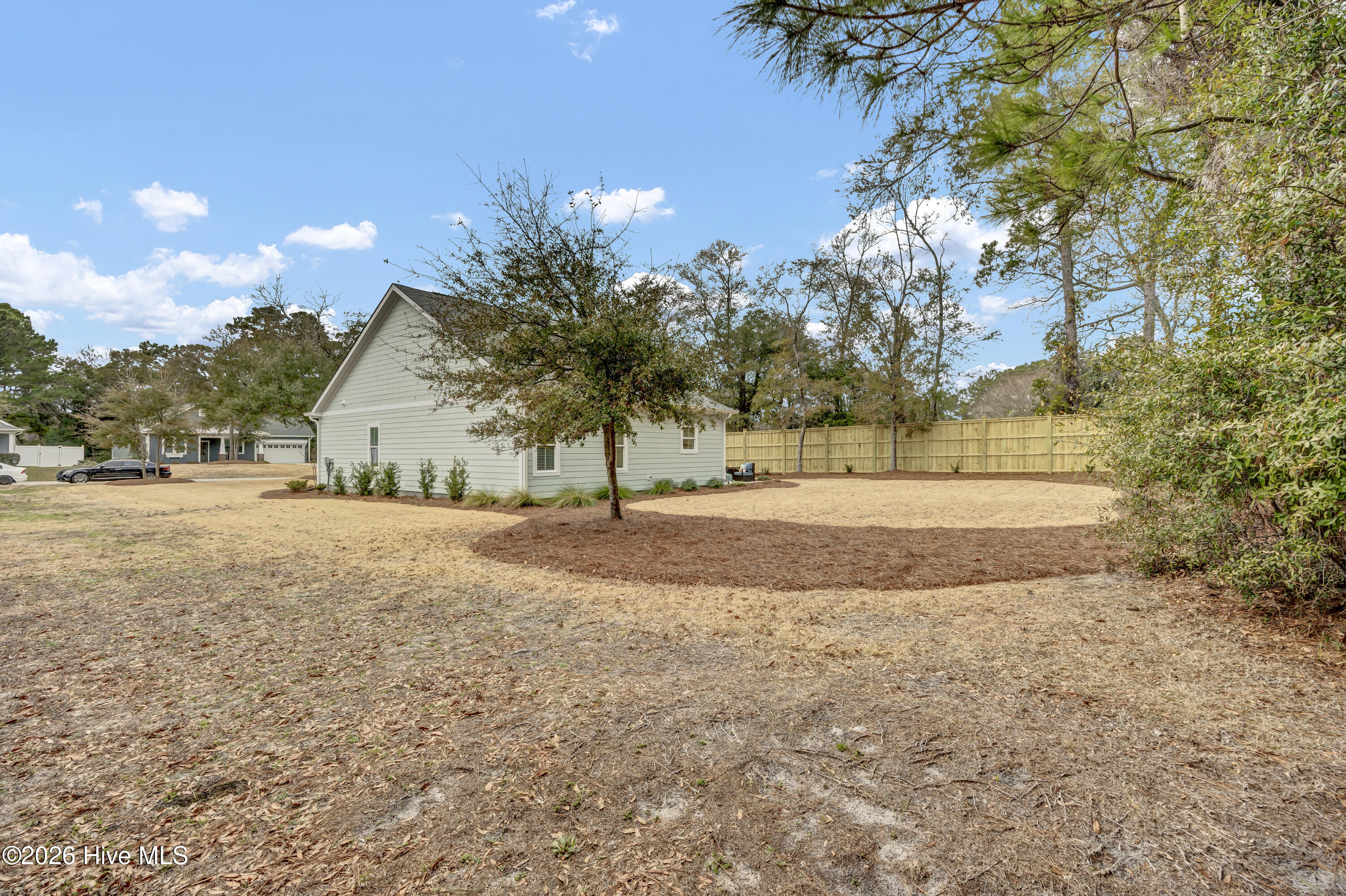 100555875 | Photo 29