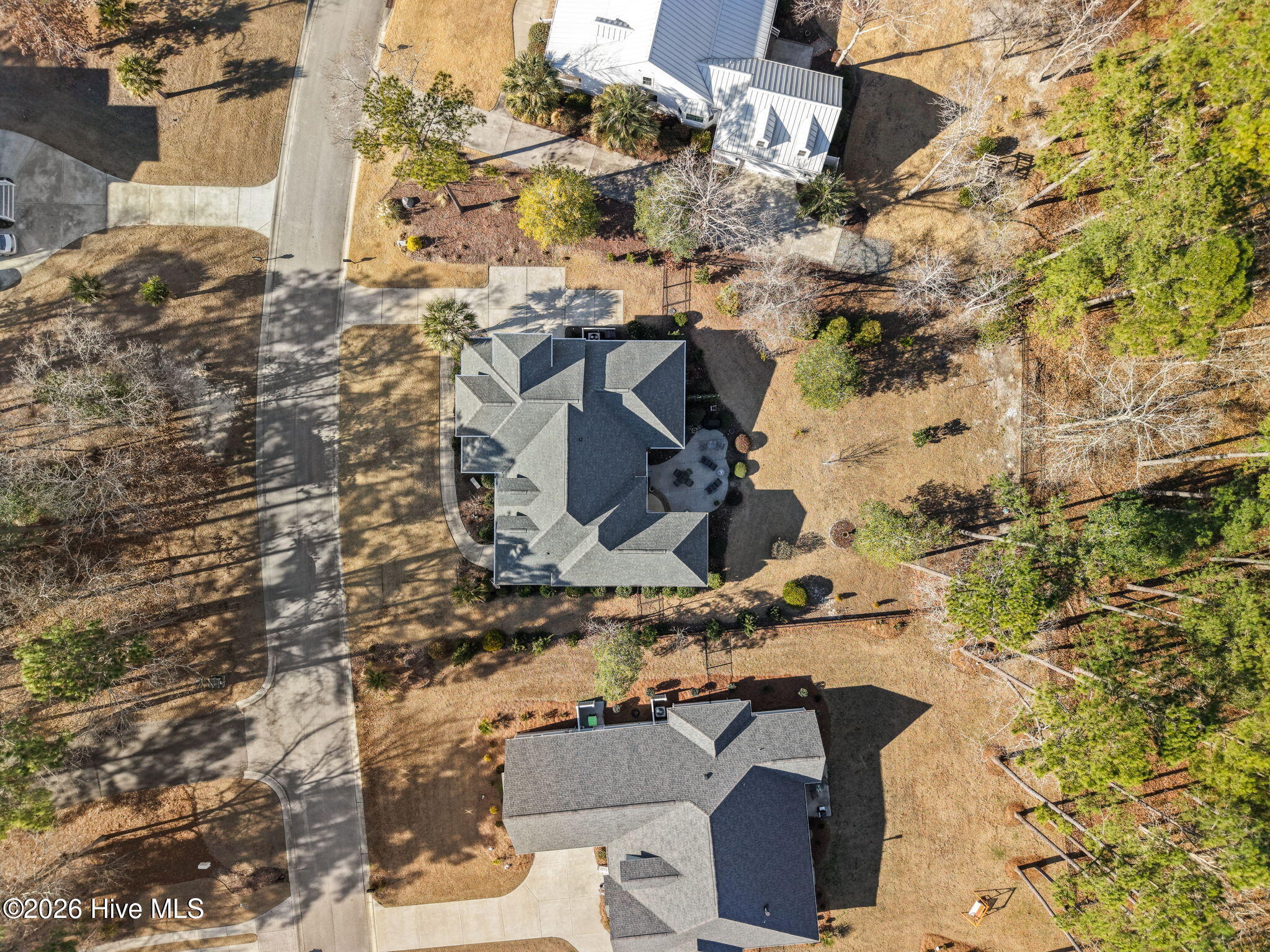 100560975 | Photo 55