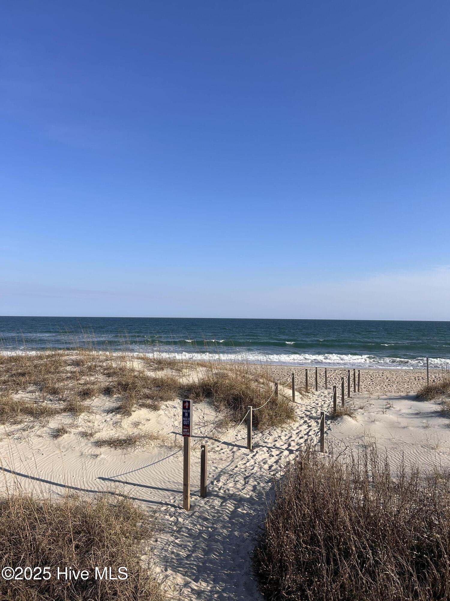 100498545 | Photo 66