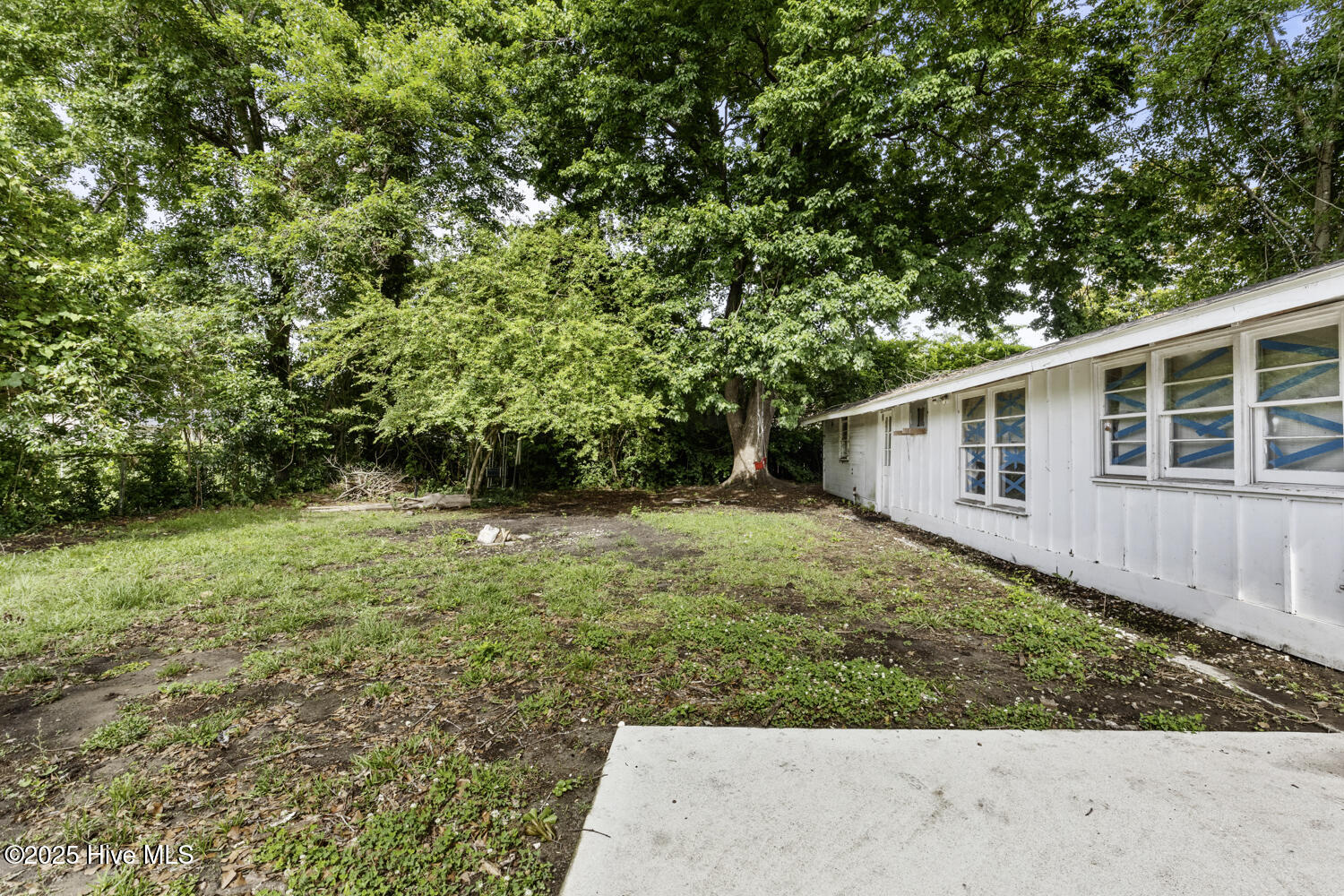 100512287 | Photo 30