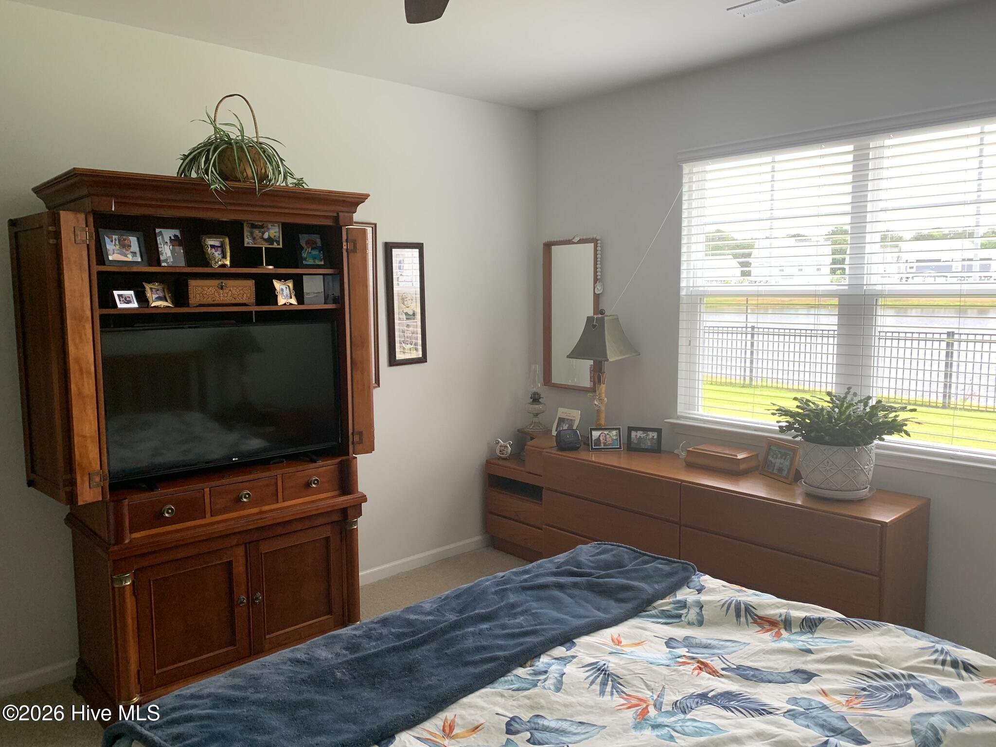 100554574 | Photo 15