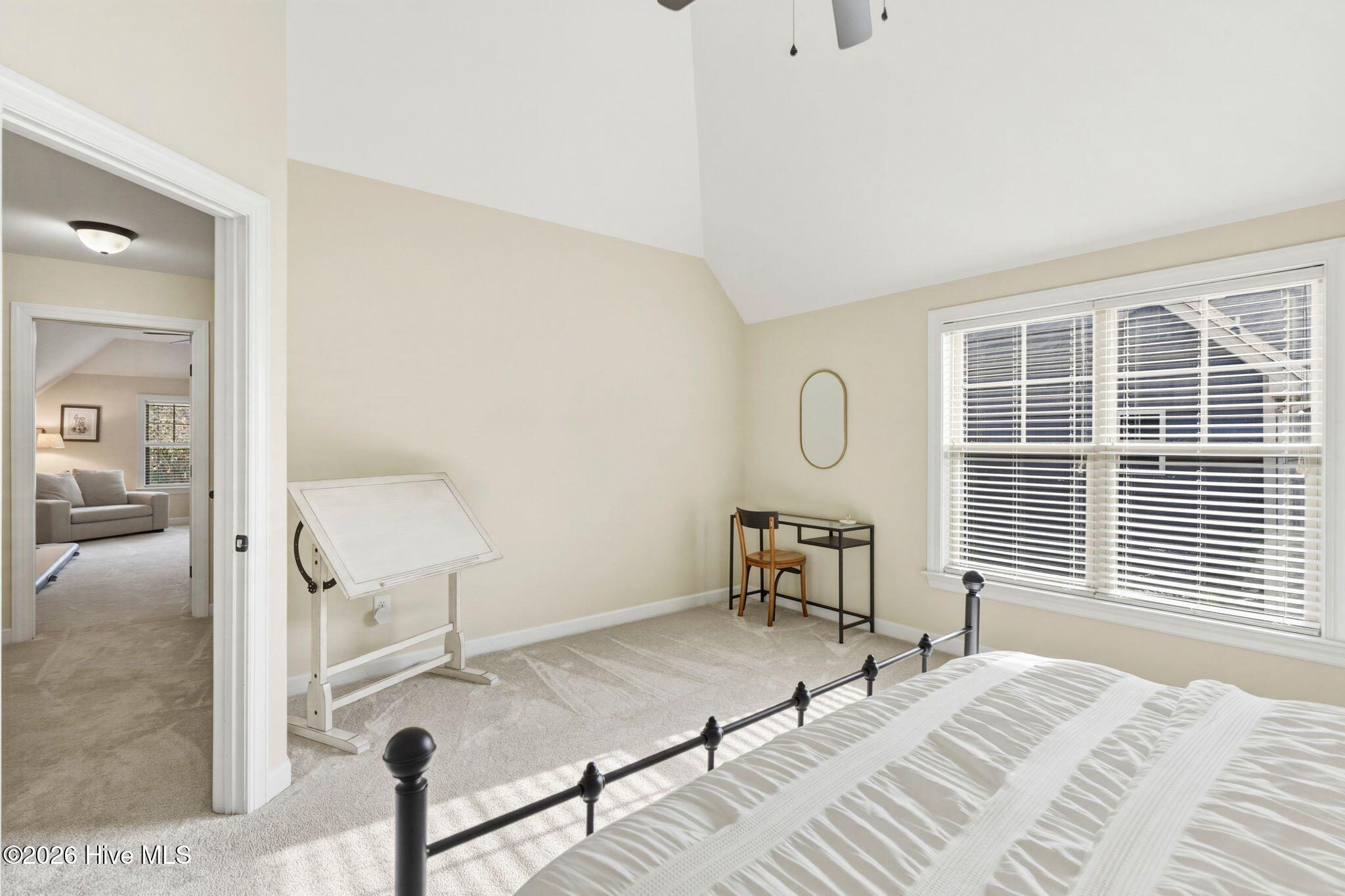 100562110 | Photo 43