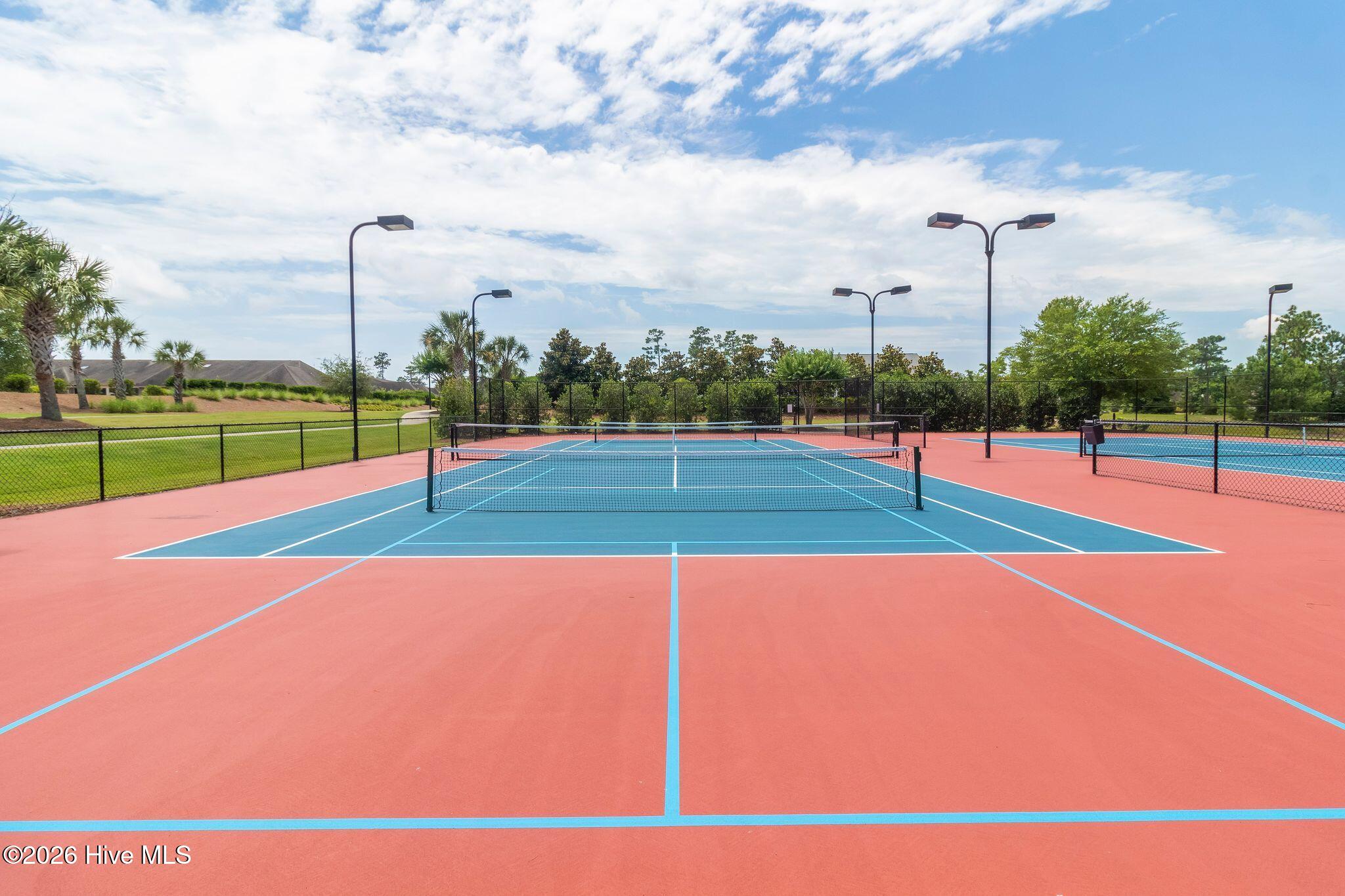 100551646 | Photo 66