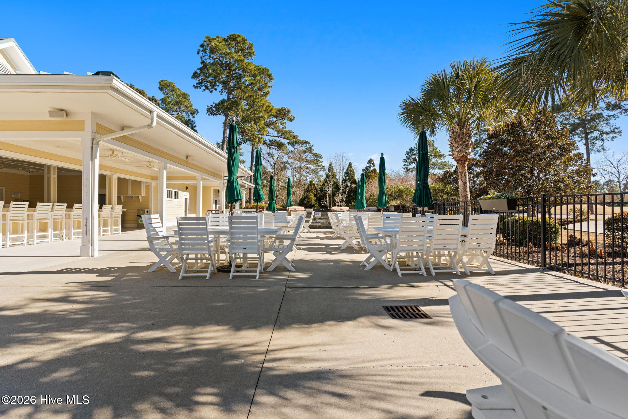 100553599 | Photo 67