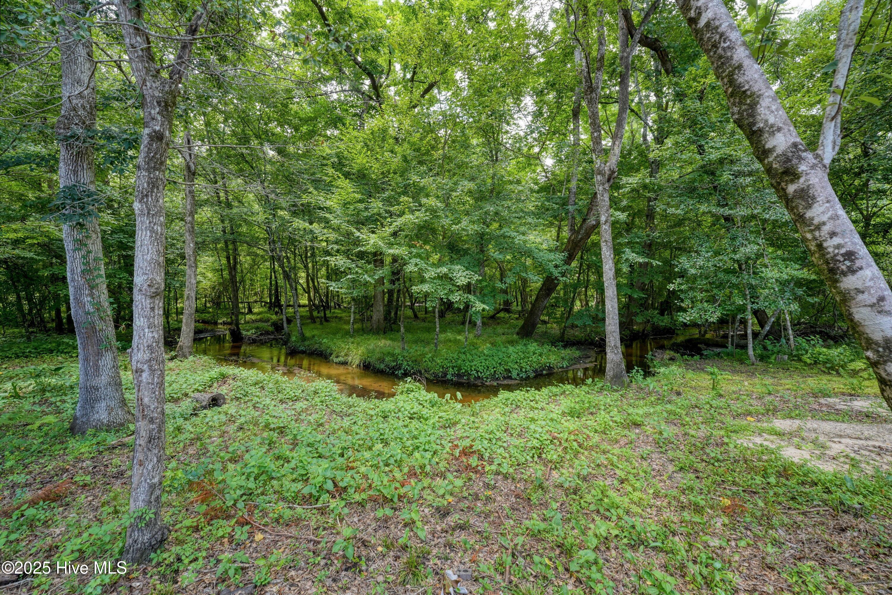 100515294 | Photo 47