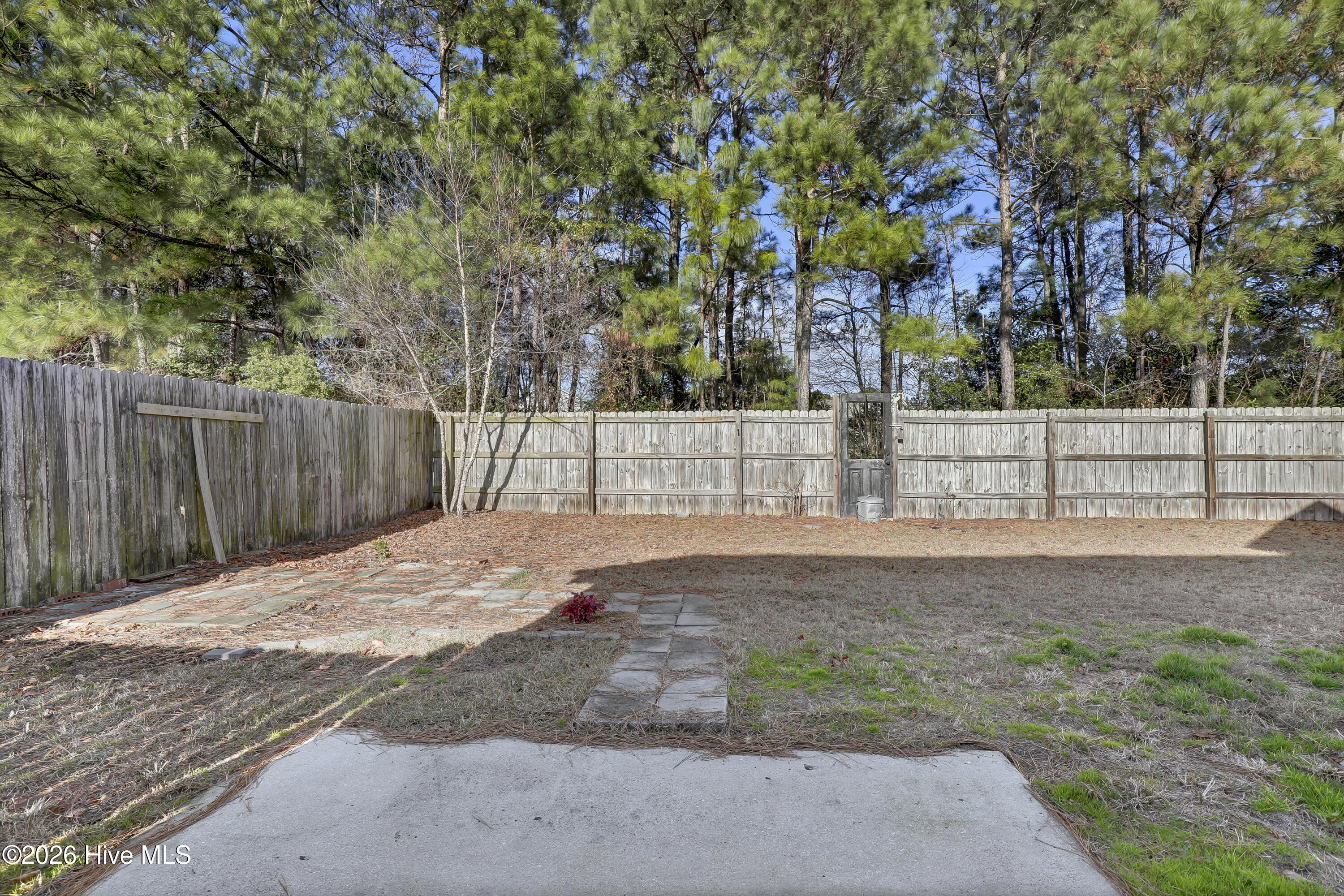 100549812 | Photo 25