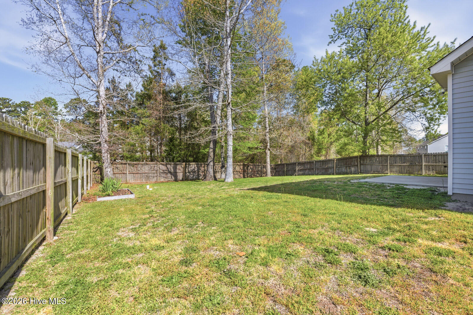 100563645 | Photo 26