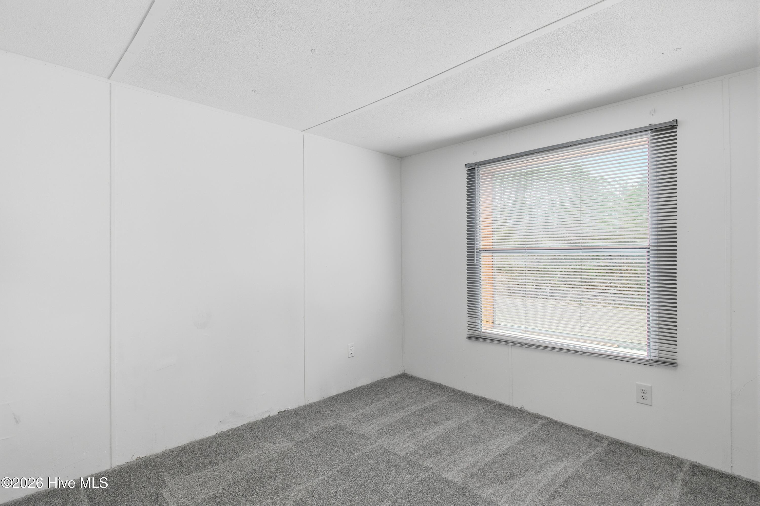 100553842 | Photo 25