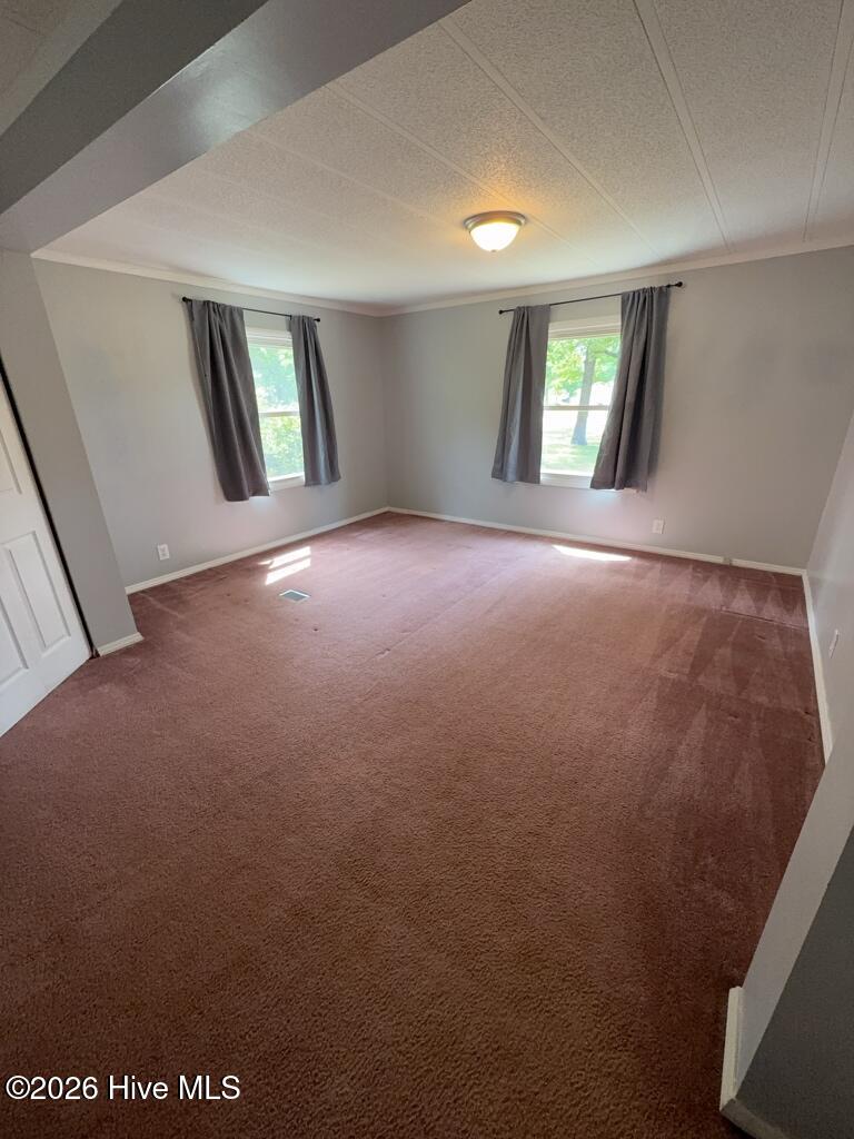 100570094 | Photo 10