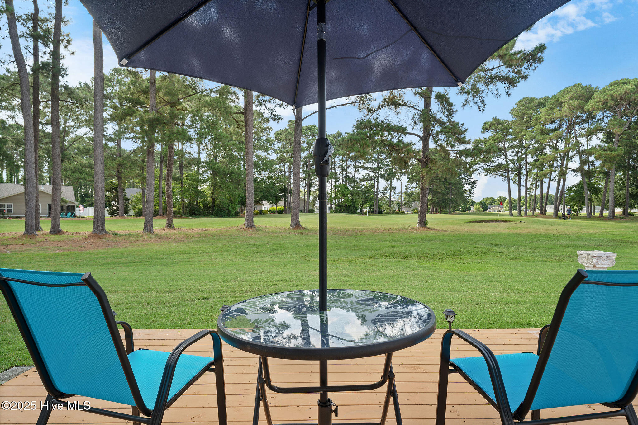 100513601 | Photo 35