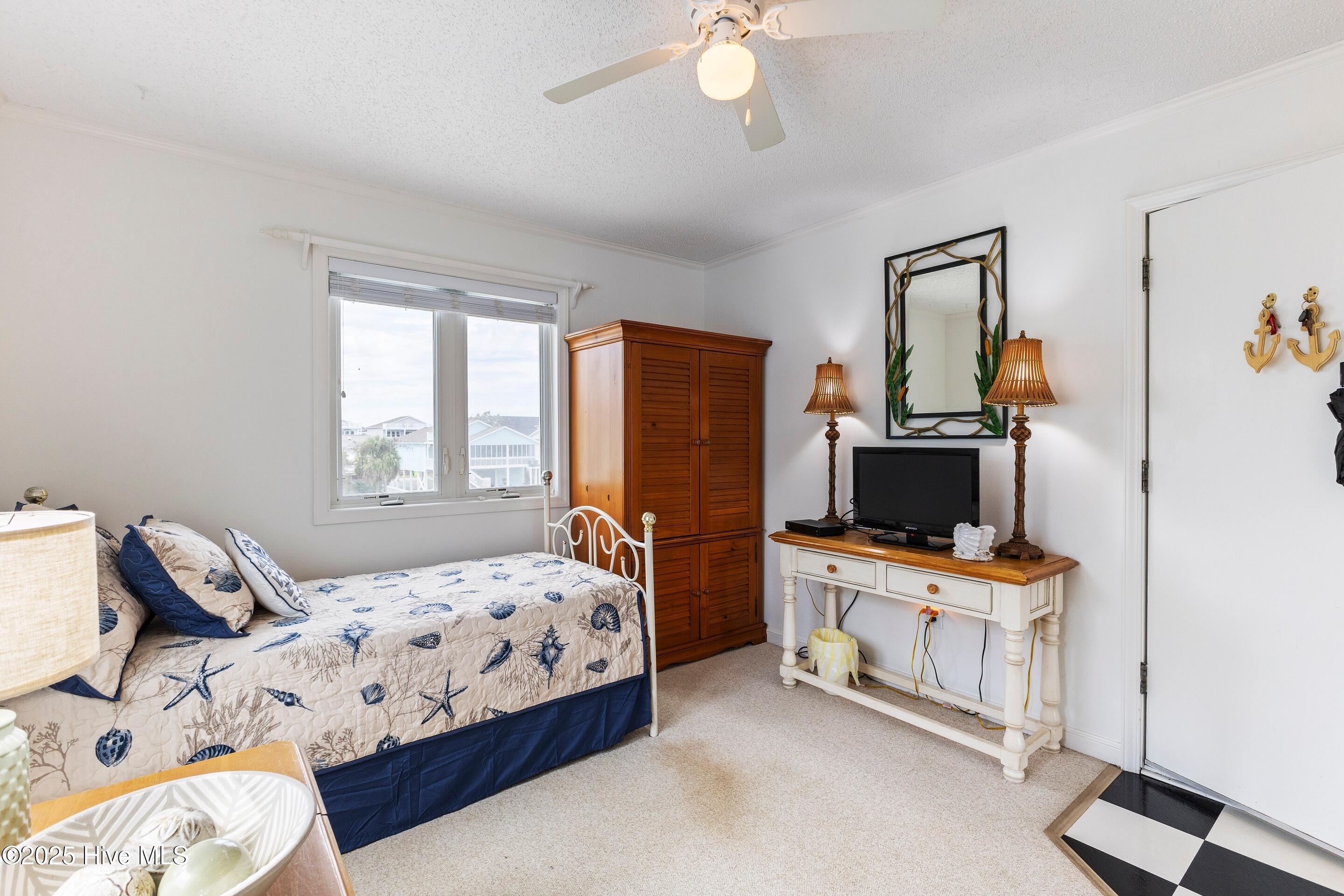 100535531 | Photo 17