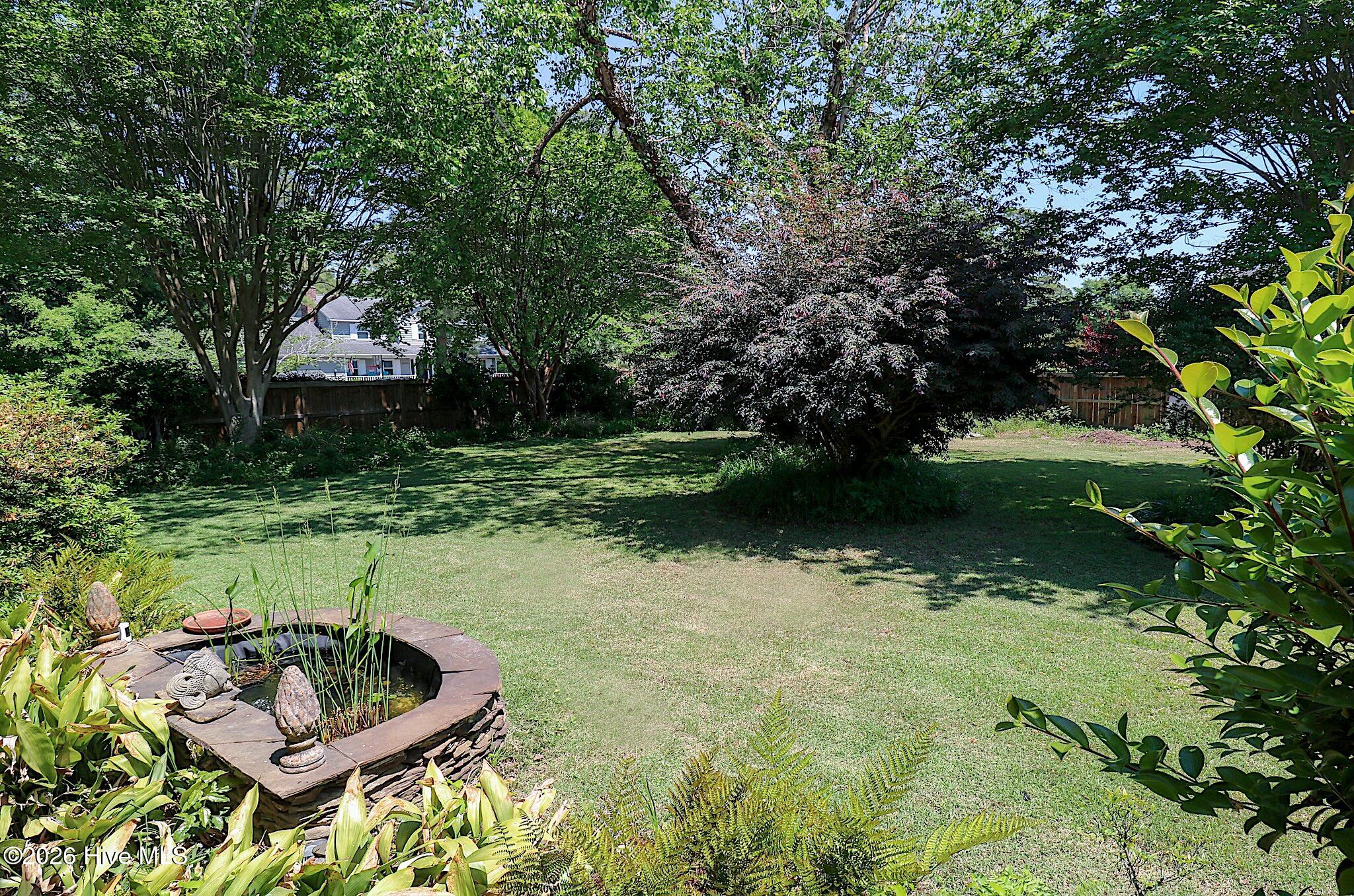 100569674 | Photo 34