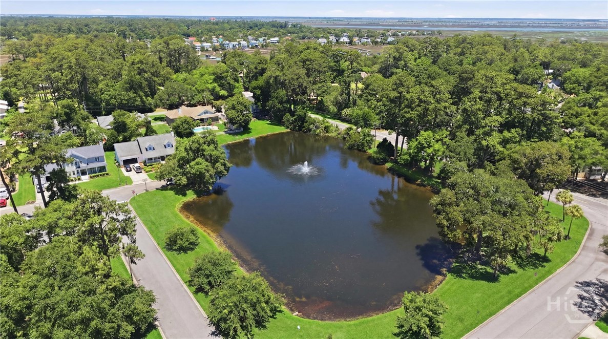 Palmetto Cove pond with fountain at the entrance to the neighborhood. Residents love to feed the ducks and turtles.