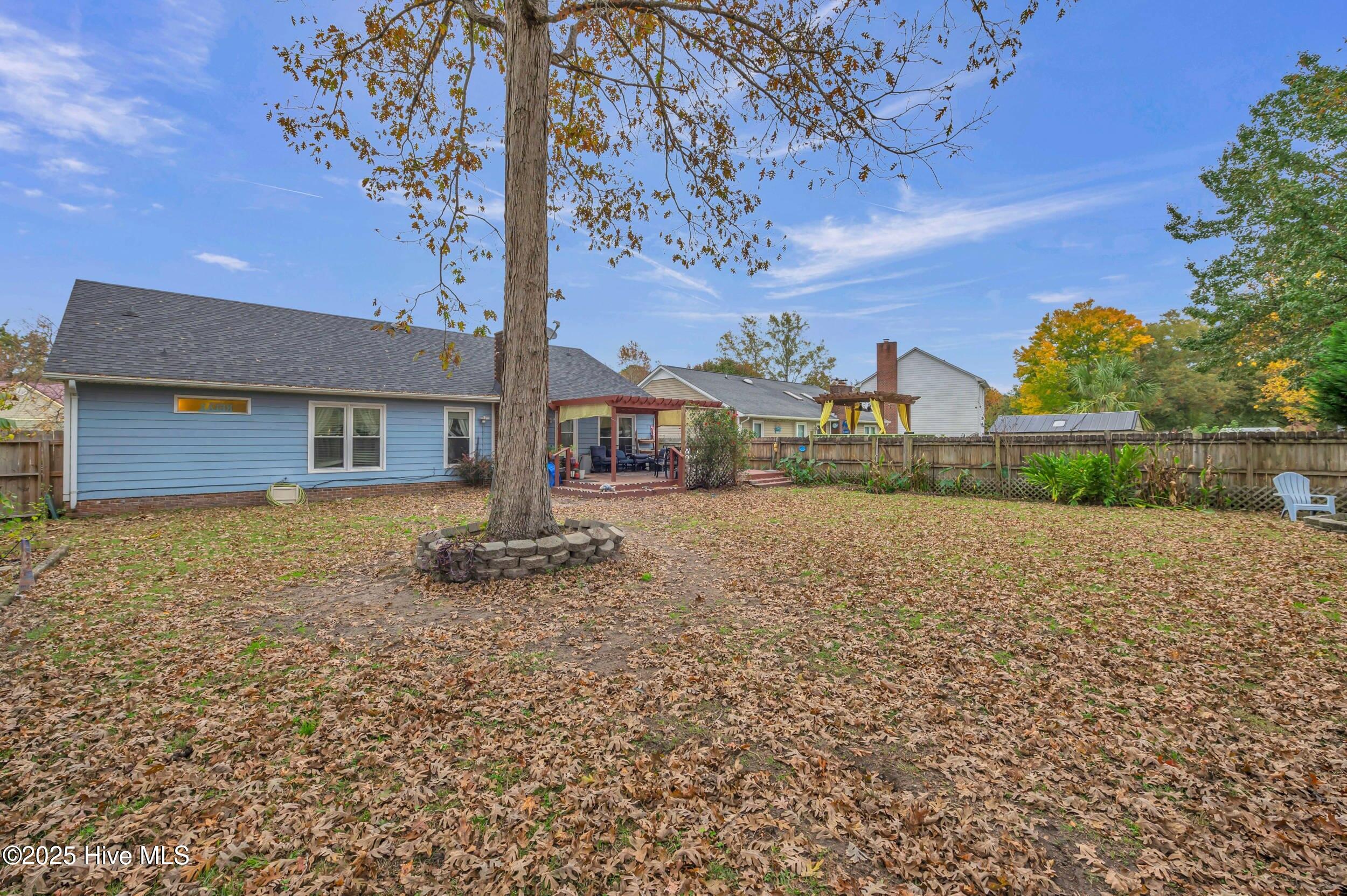 100540534 | Photo 33