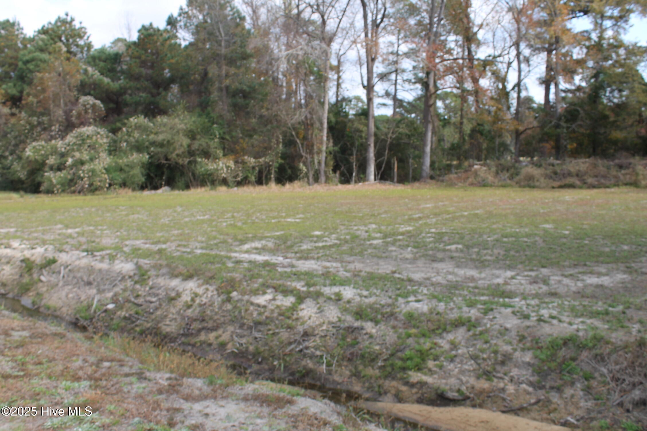 100542049 | Photo 14