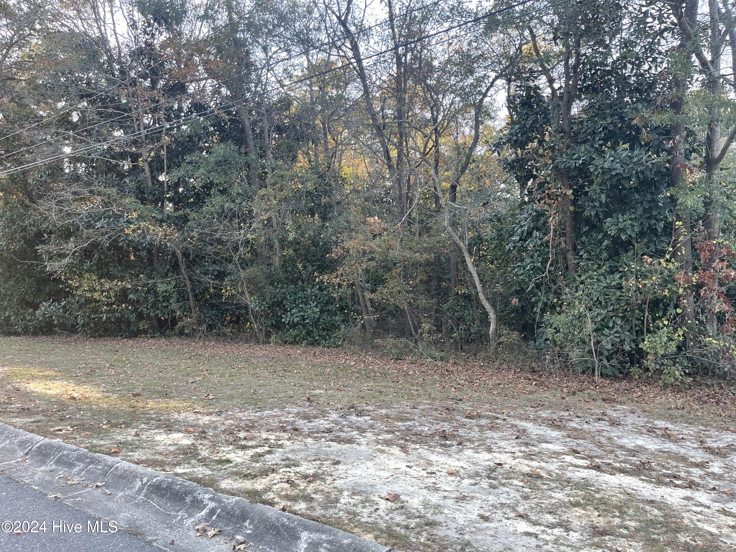 408 Lake Pines Drive, La Grange, NC, 28551