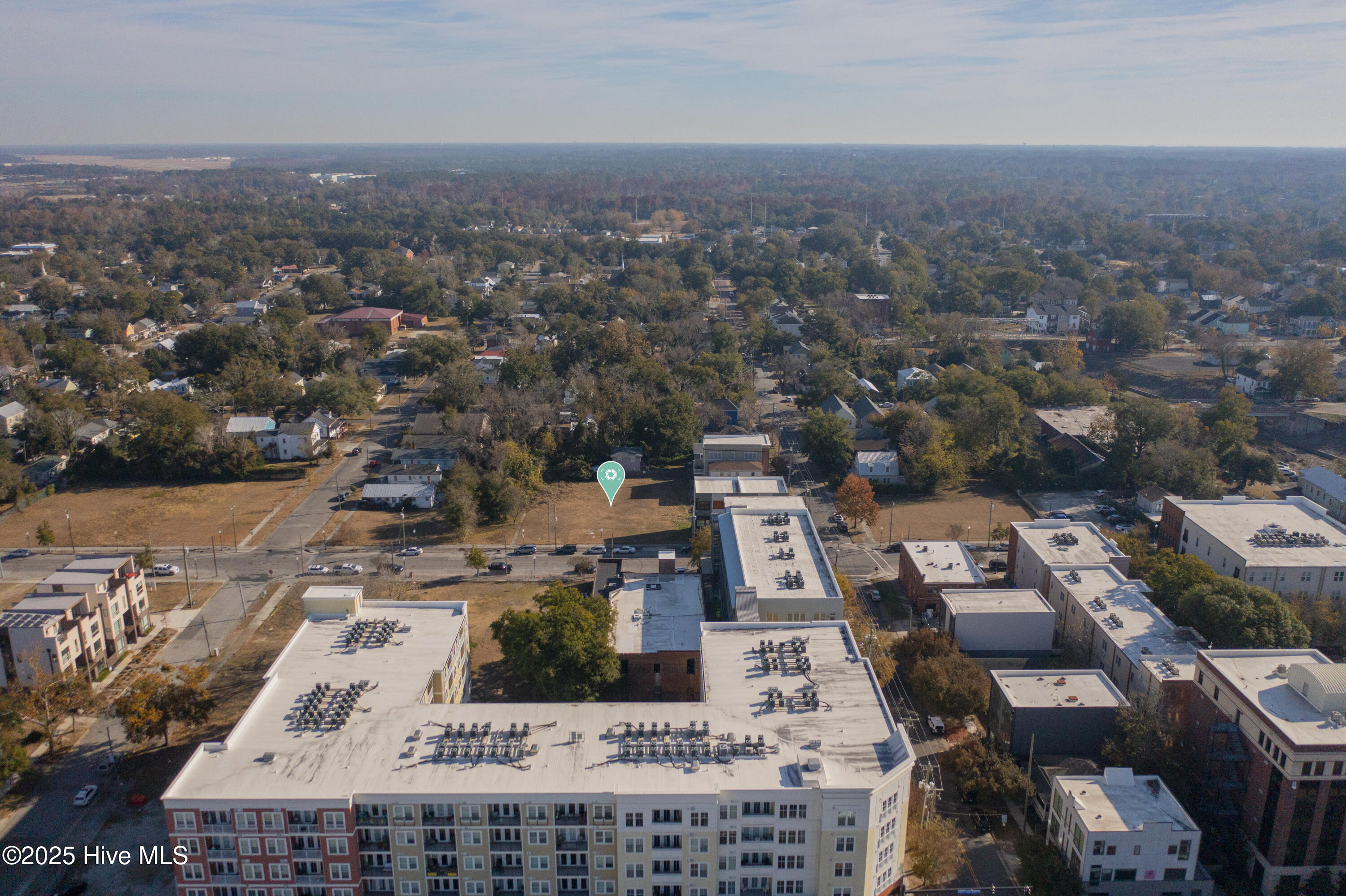 100524258 | Photo 19