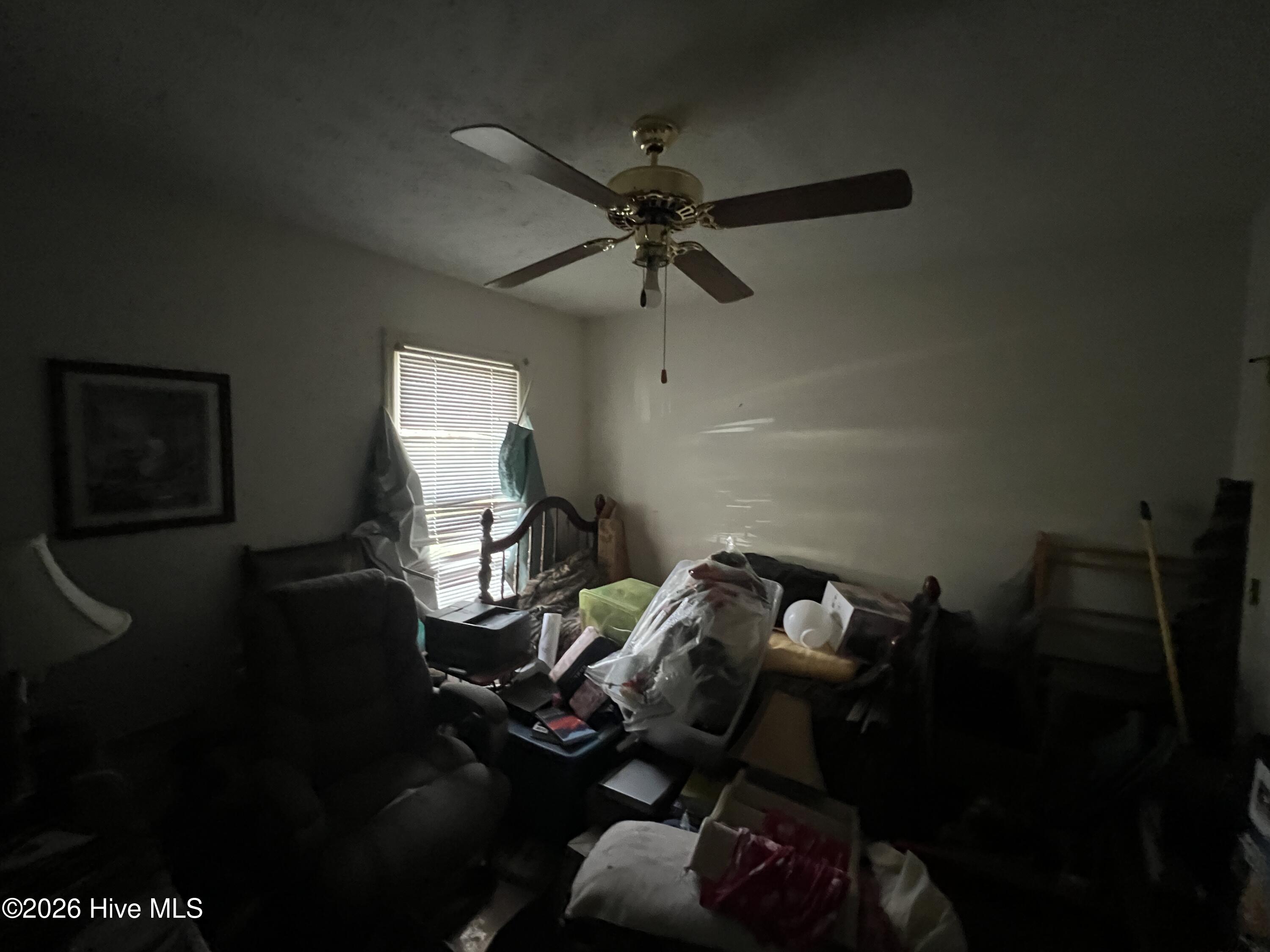 100555169 | Photo 10