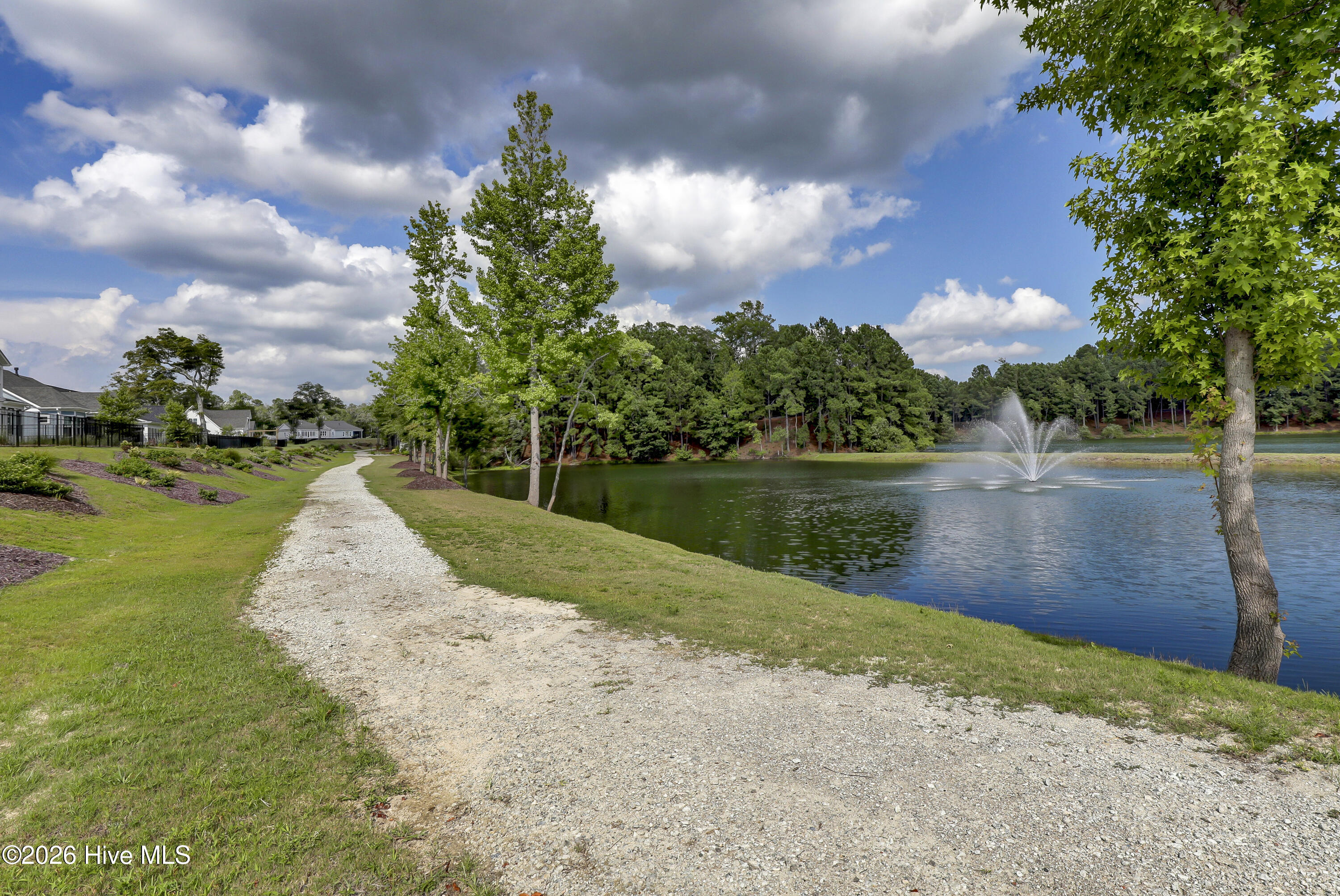 100548611 | Photo 53