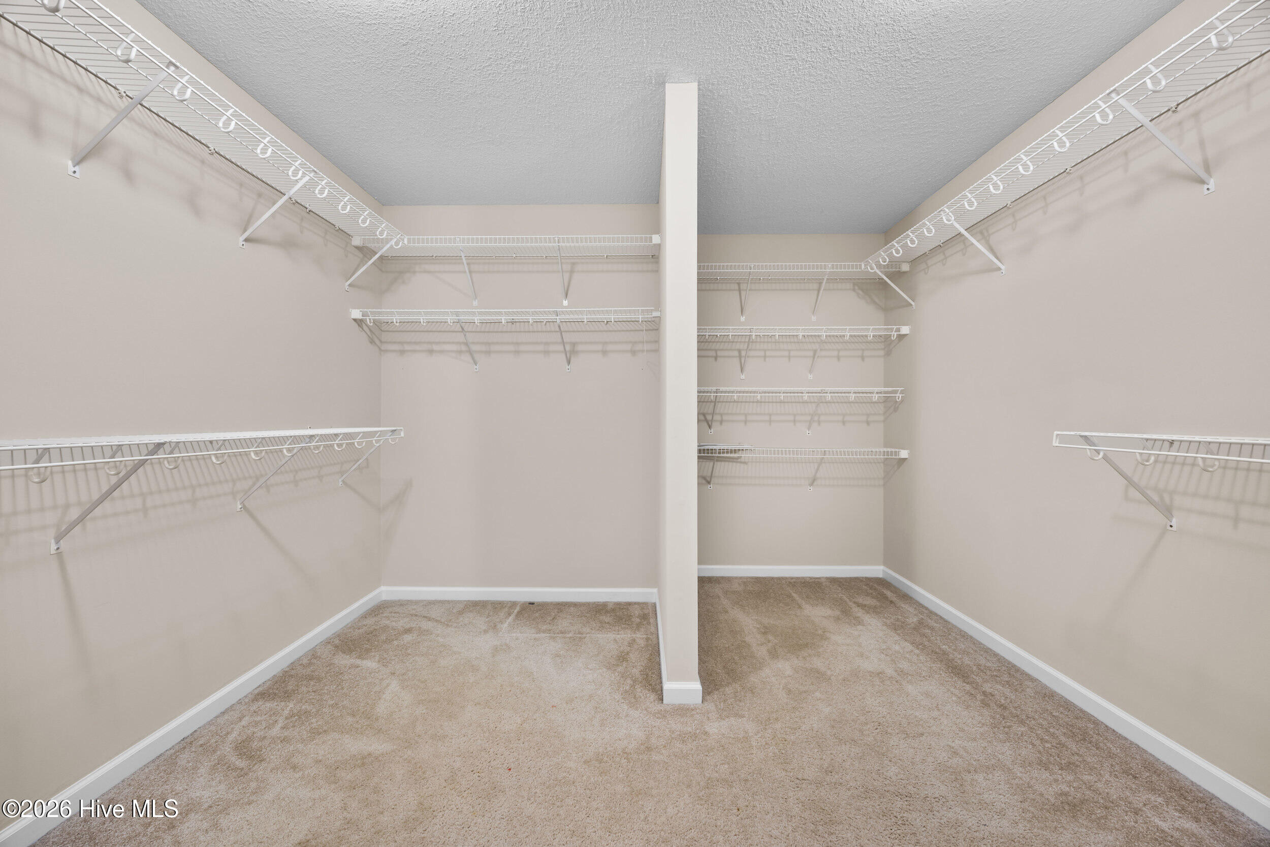 100548661 | Photo 37