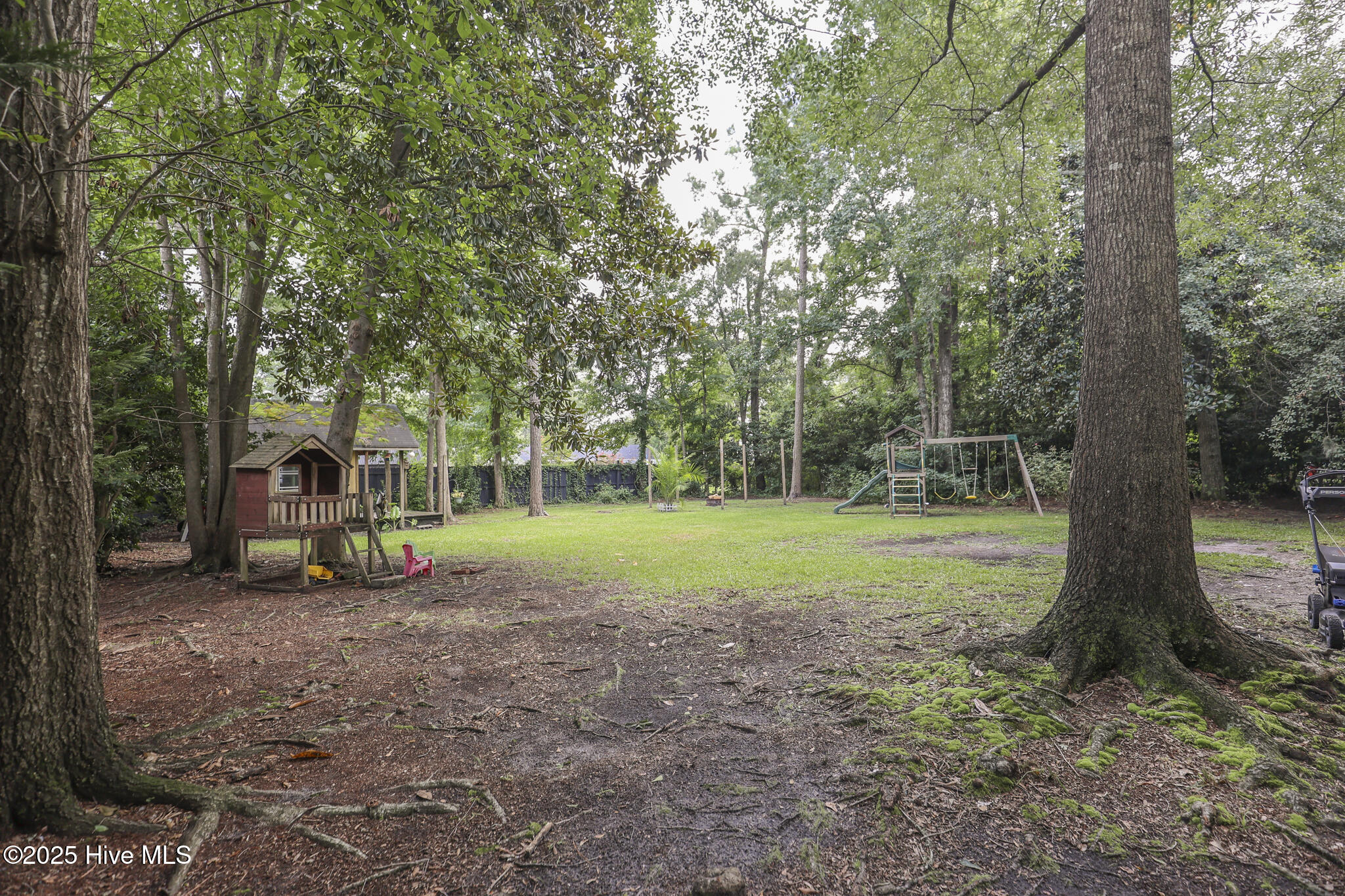 100524871 | Photo 48