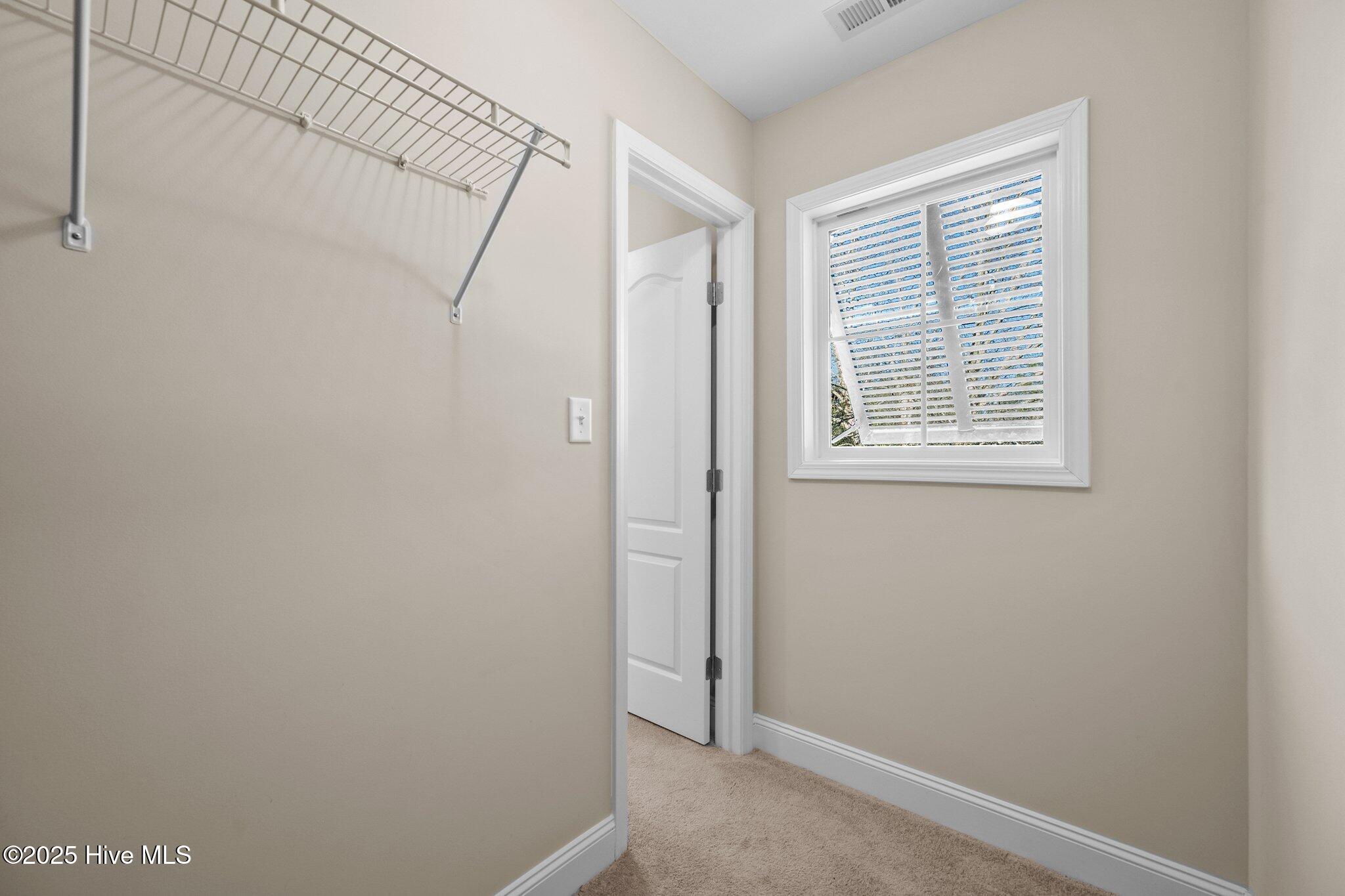 100488790 | Photo 27