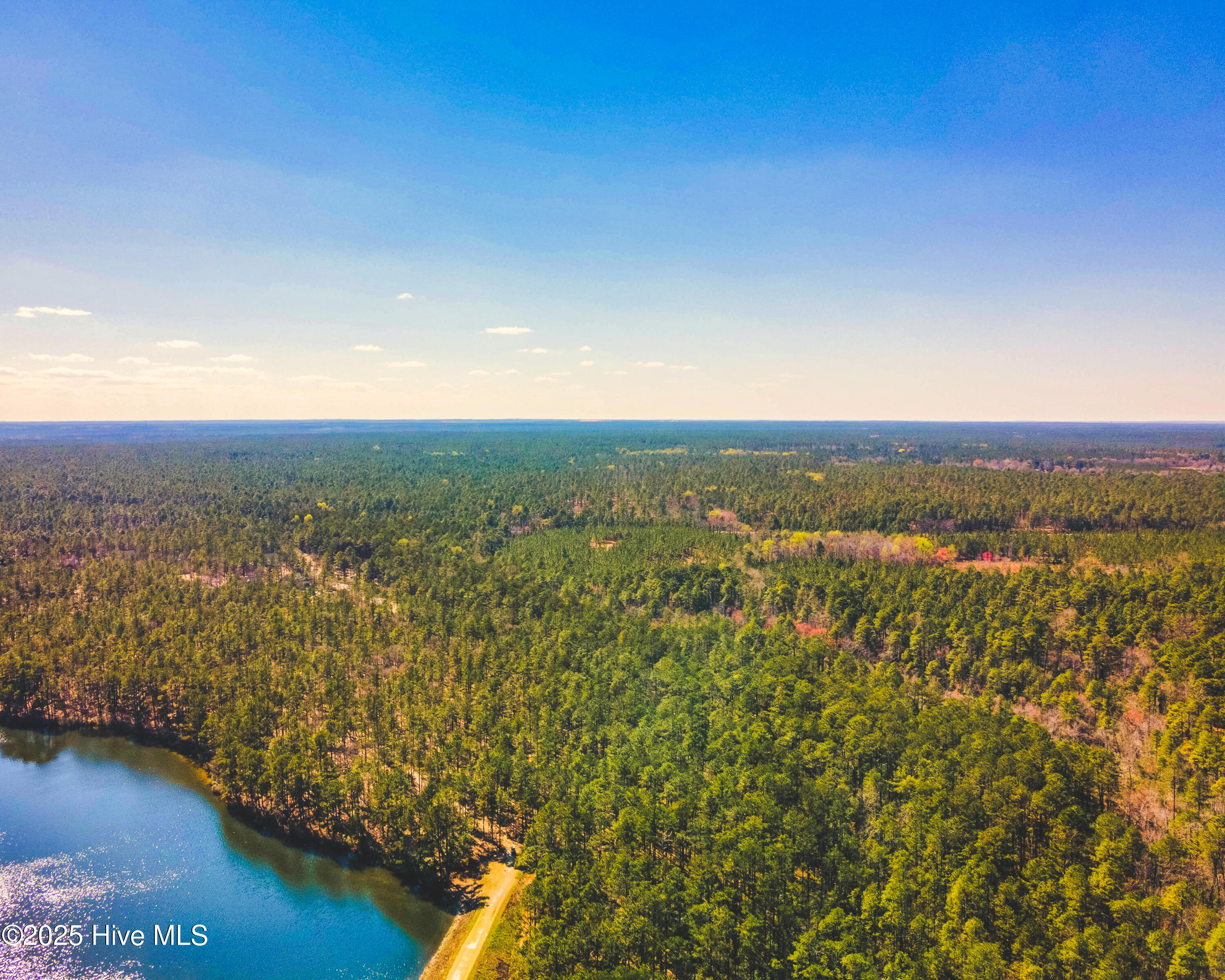 Homes for sale in Wagram, NC | Tbd Raccoon Run, Wagram, NC 28396 | MLS# 100536651