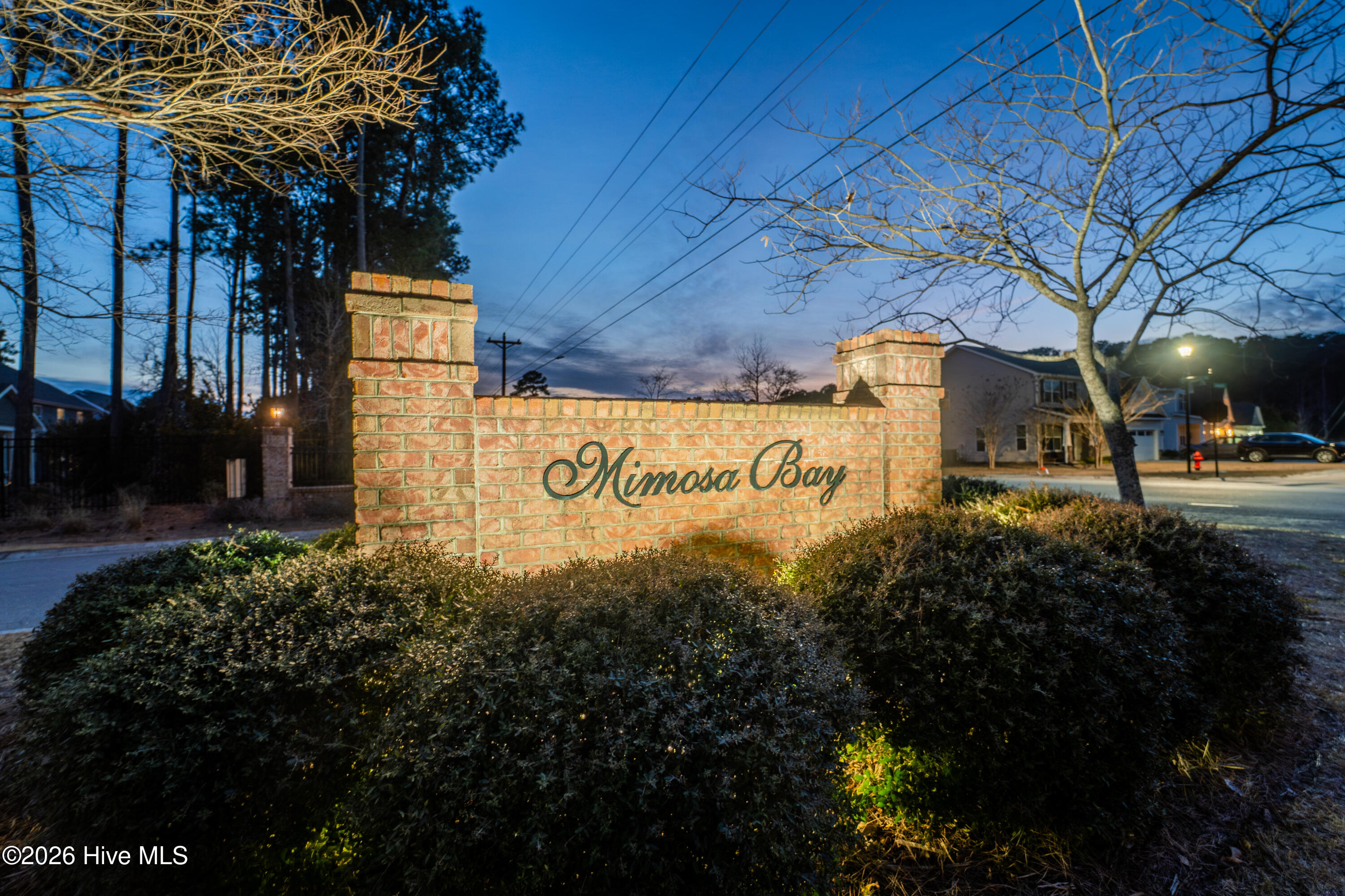 100553861 | Photo 34