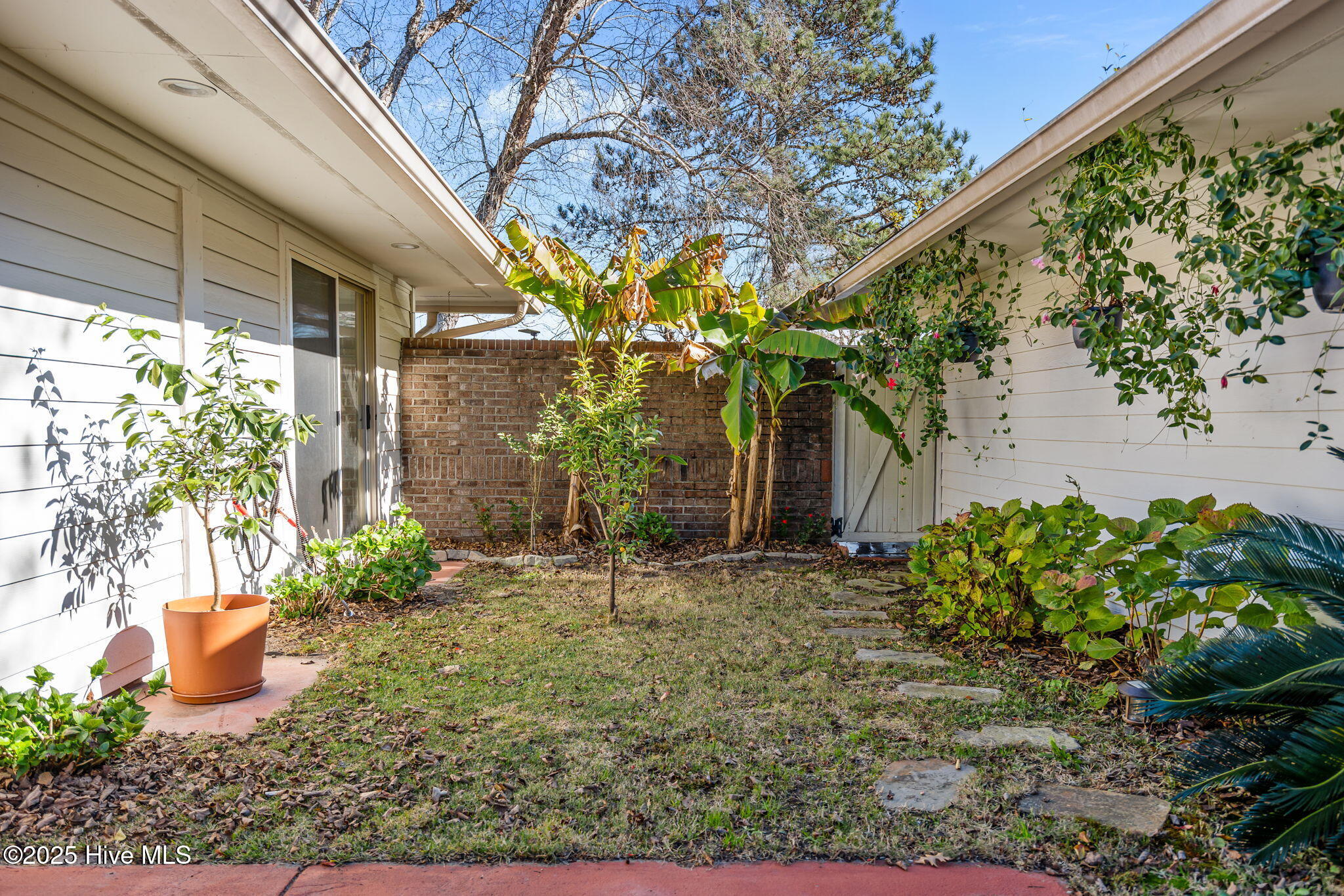 100544988 | Photo 25