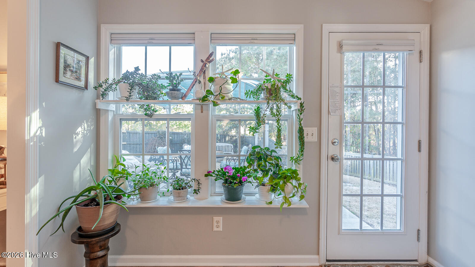 100558017 | Photo 20