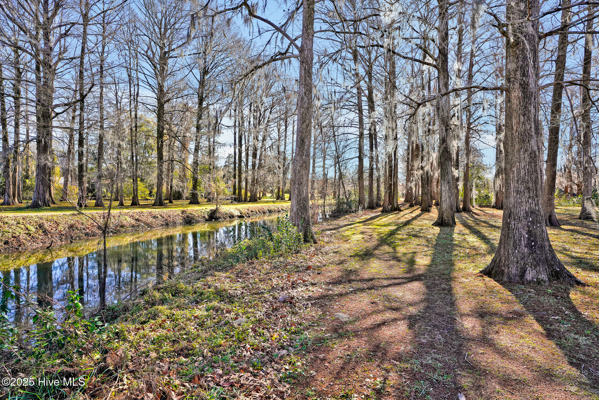 100544922 | Photo 38