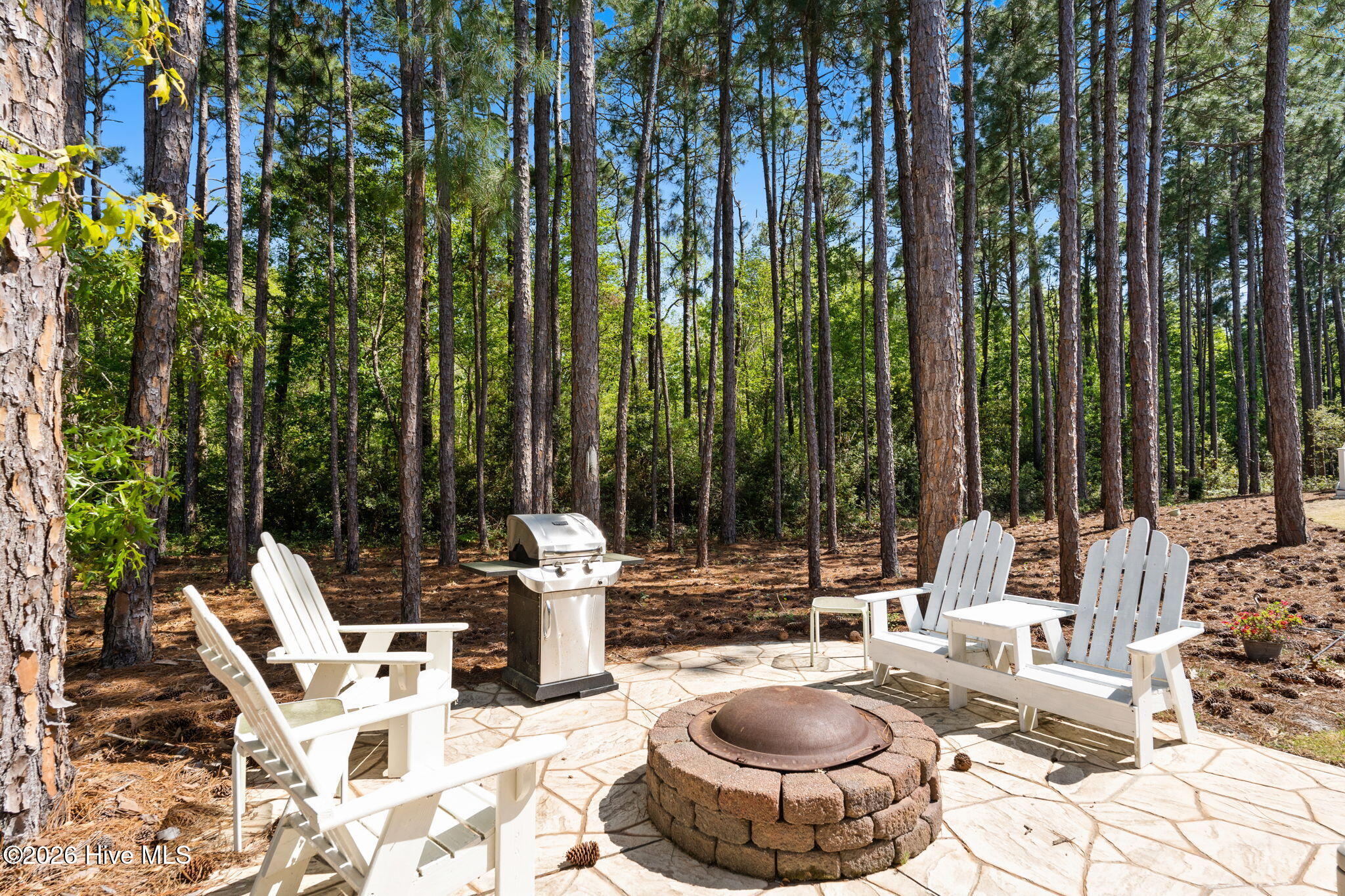 100567899 | Photo 64