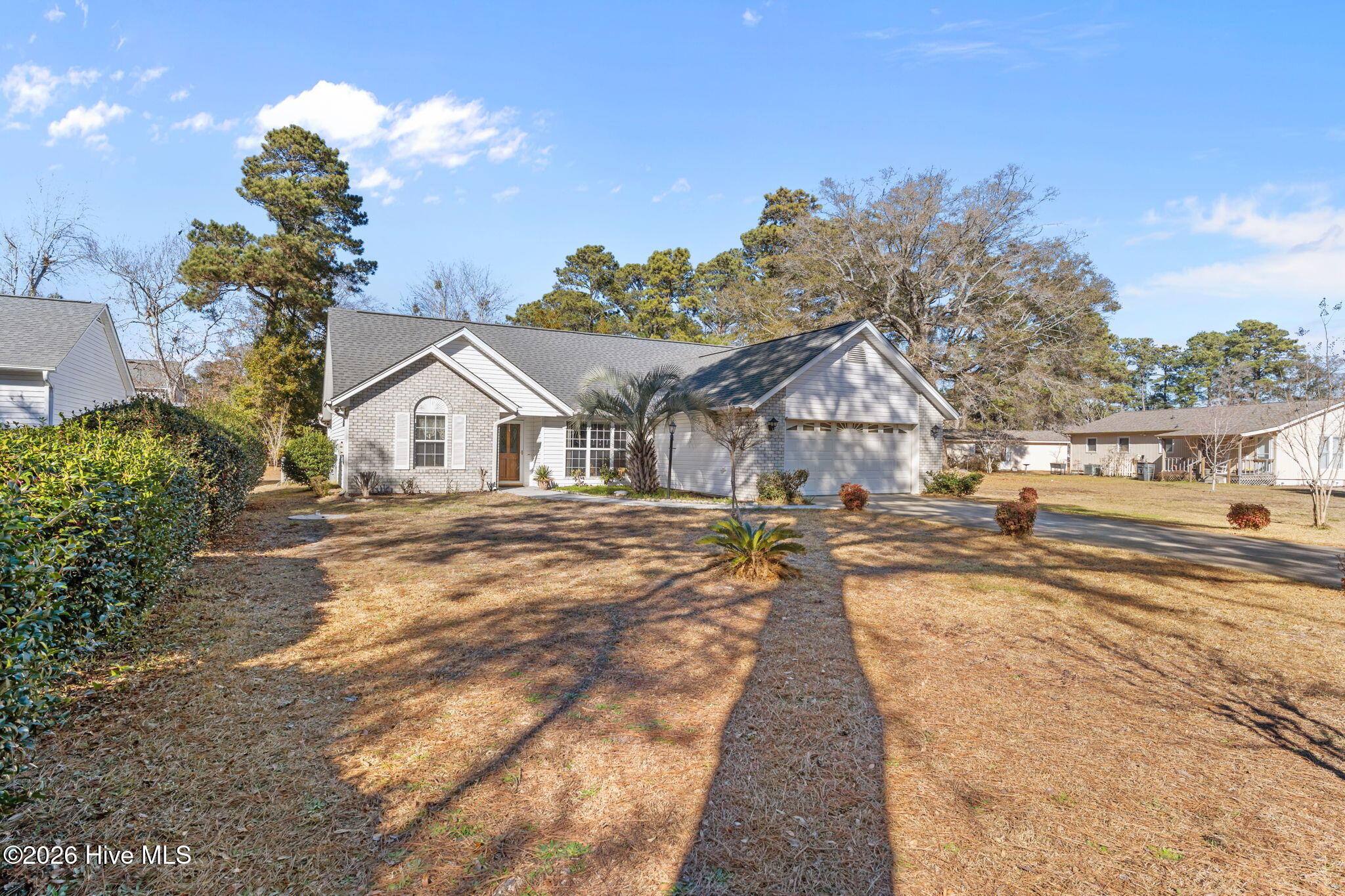 100550079 | Photo 37