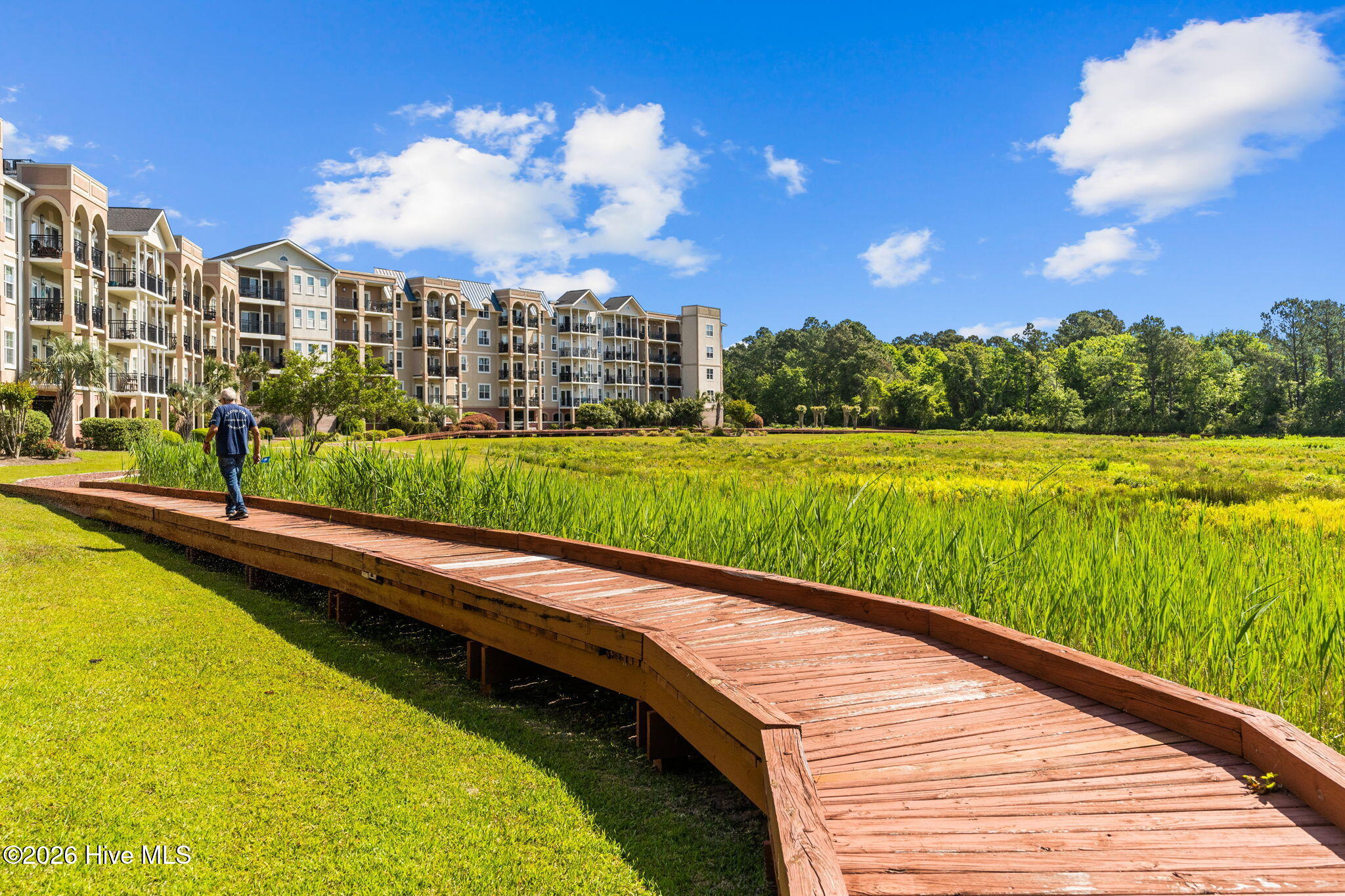 100558895 | Photo 75