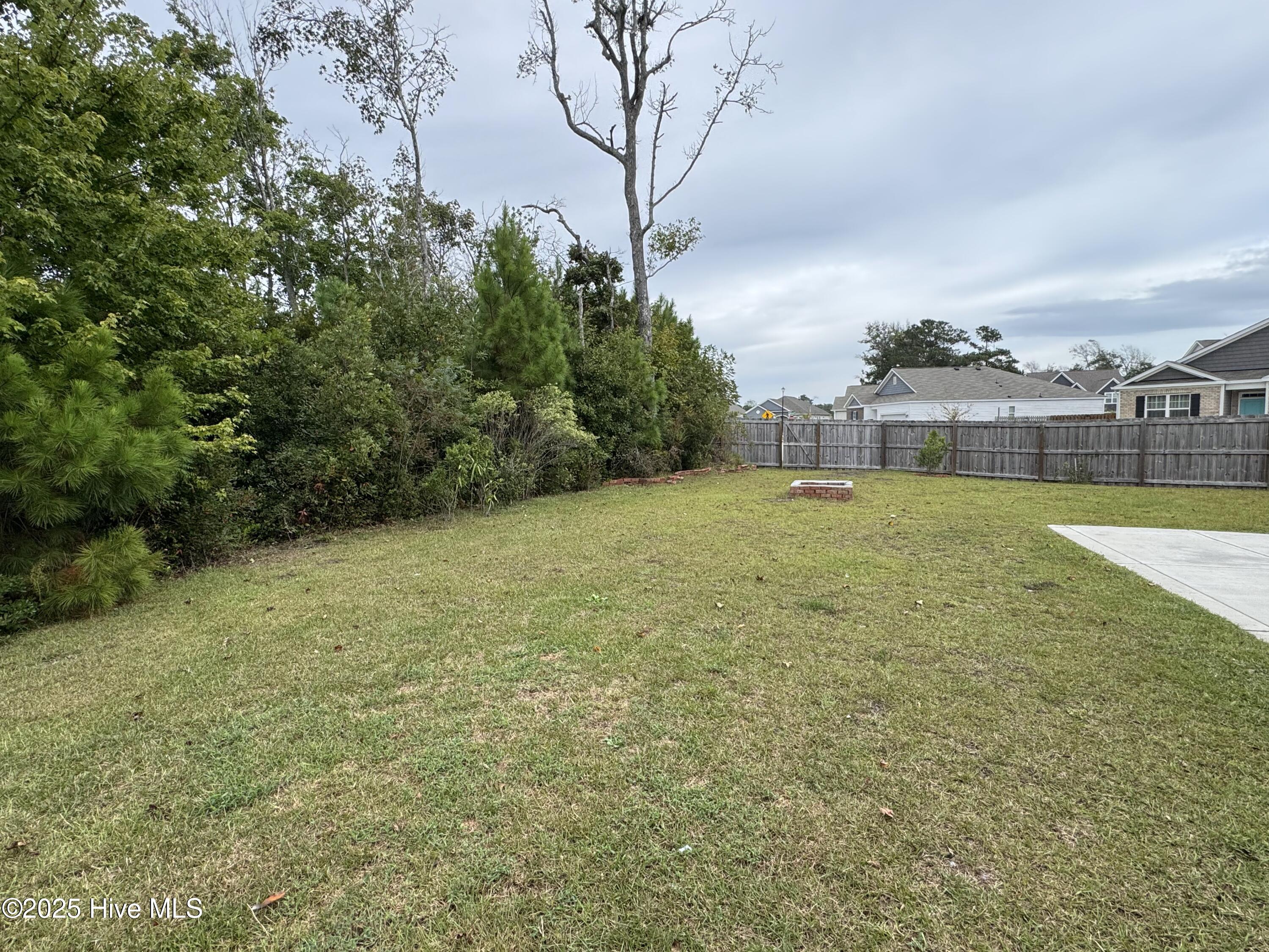 100533613 | Photo 31