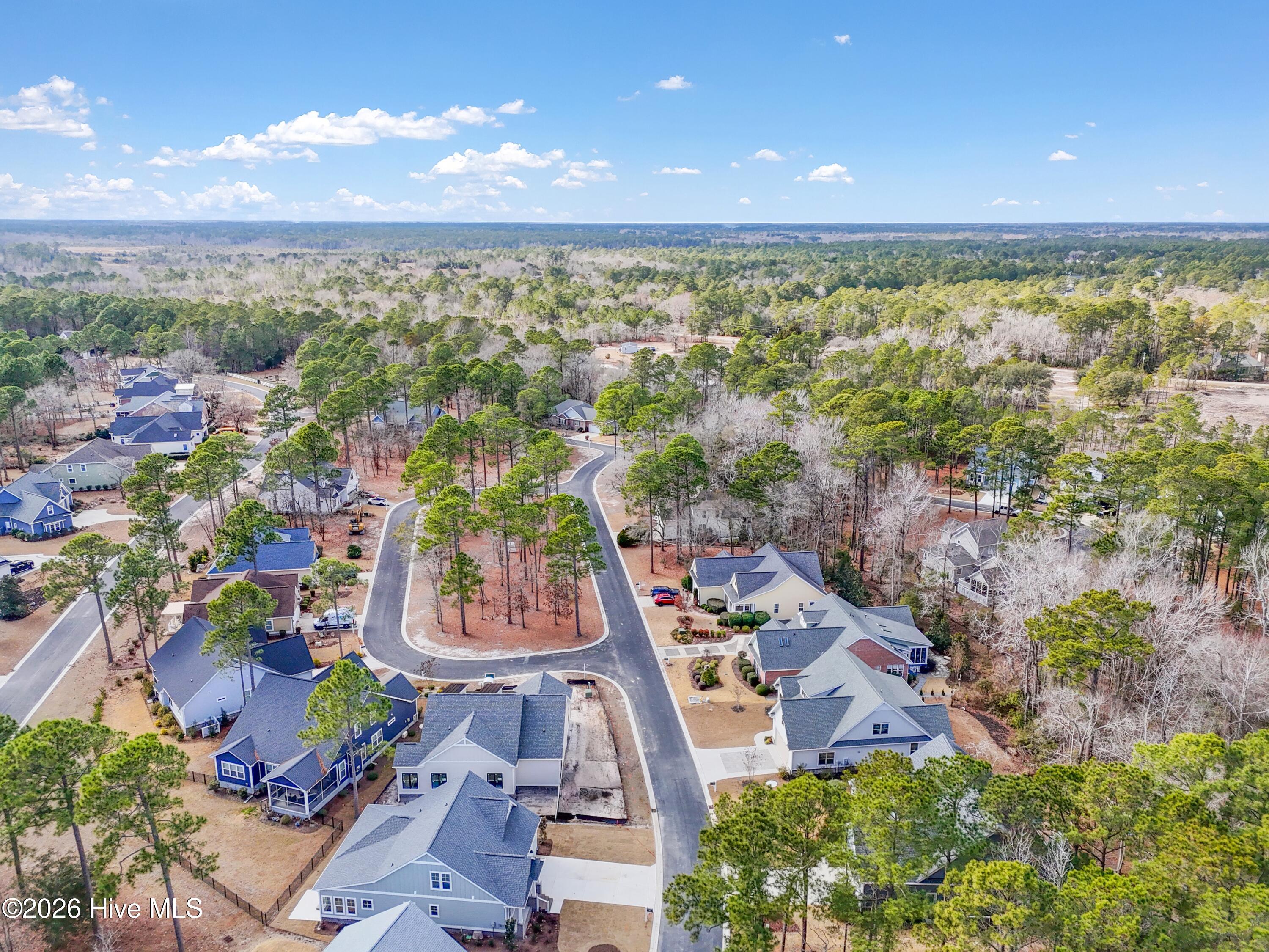 100533287 | Photo 62